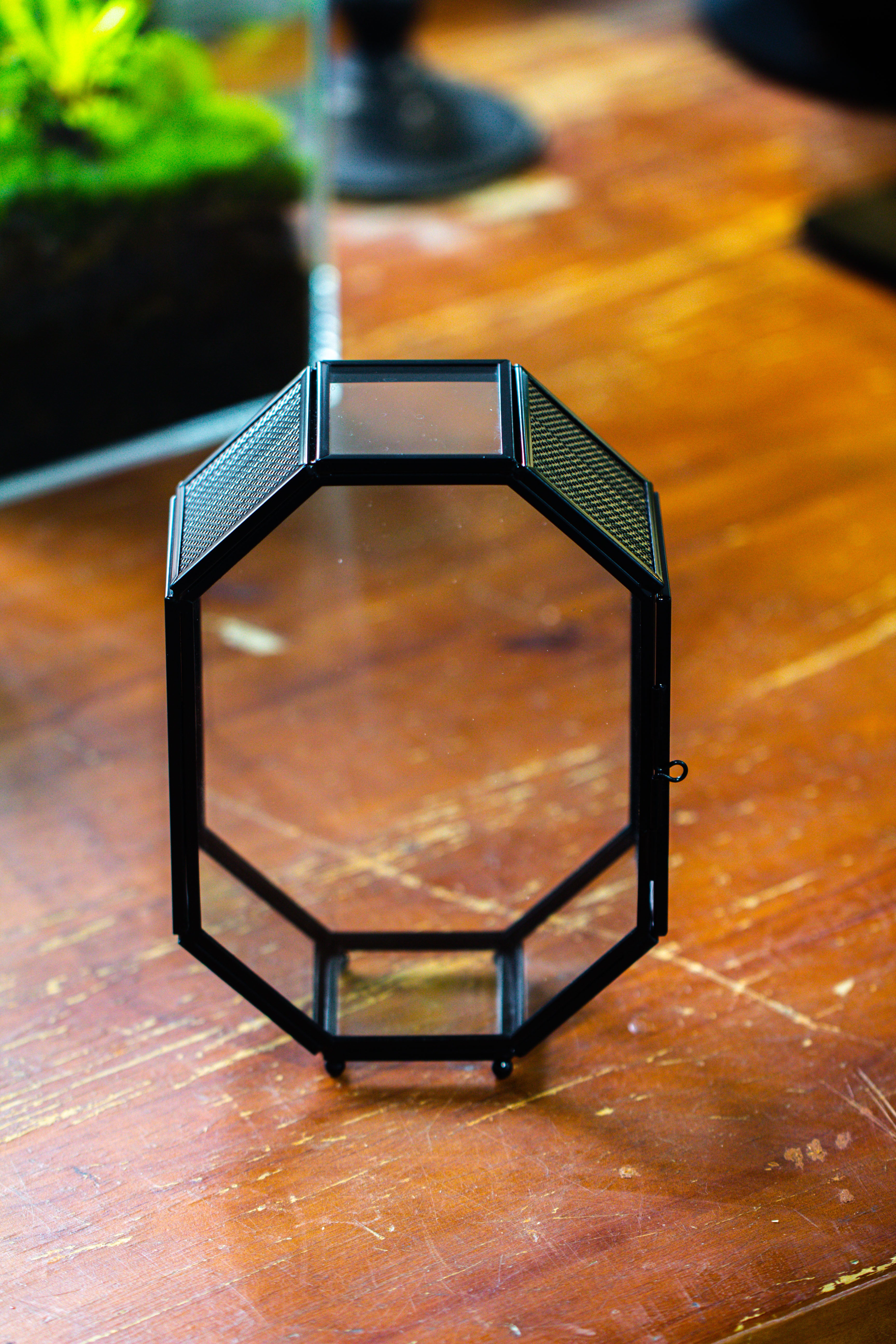 Mini 5x7 inches Octagon Shape Glass Geometric Terrarium Enclosure with Side Vent  for Small Insect, Jumping Spider - NCYPgarden