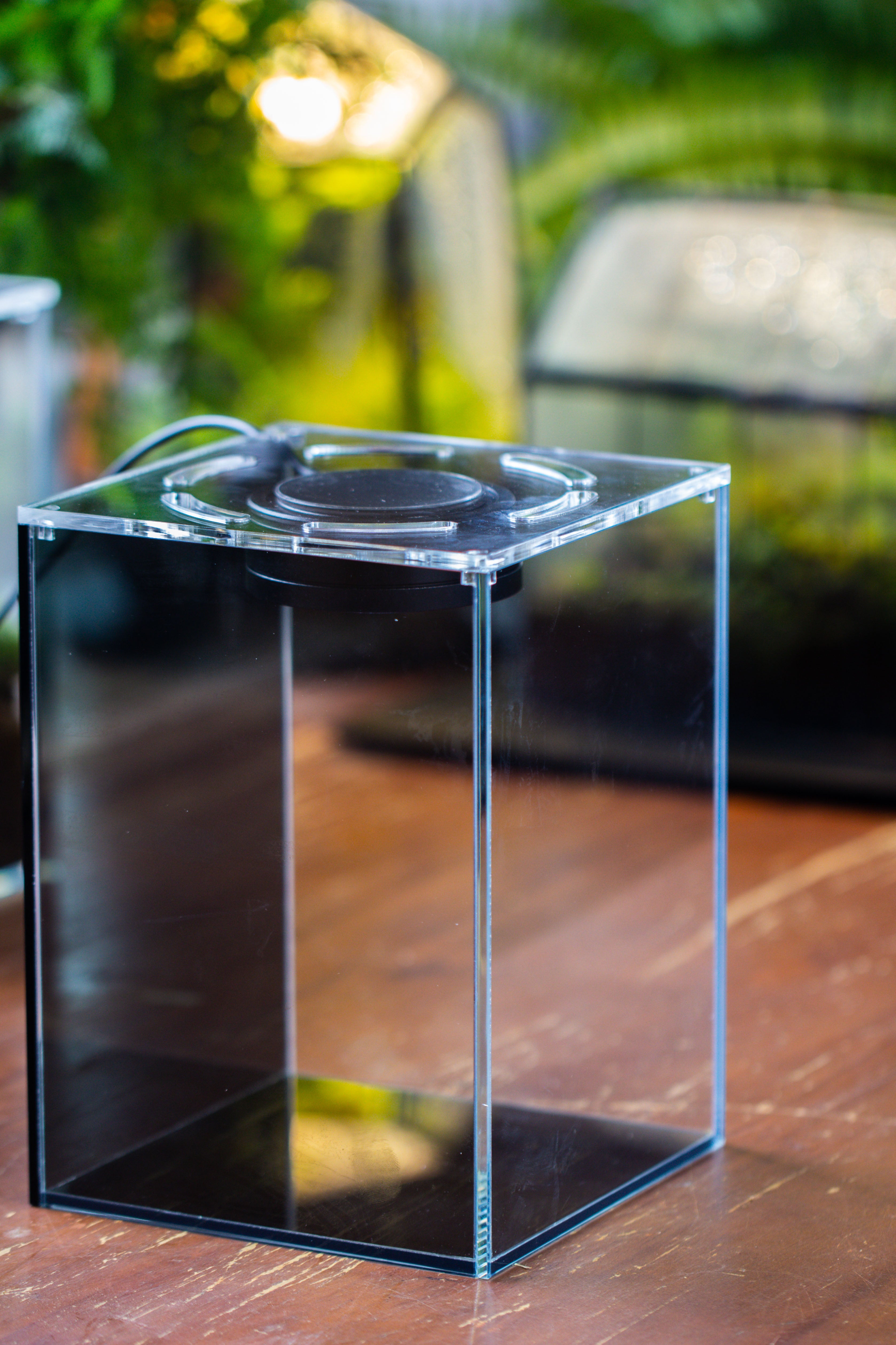 Watertight Glass Terrarium with LED Grow Light, Acrylic Lid for Moss Wall, vertical planting -15x15x20cm / 5.9x5.9x7.8 - NCYPgarden