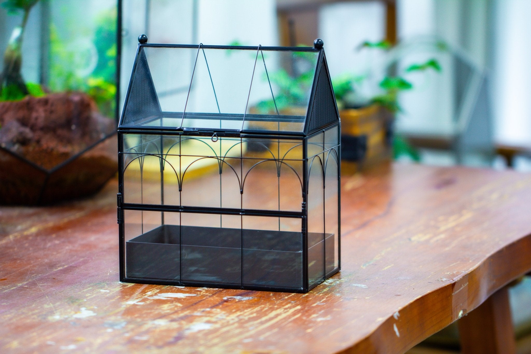 NCYP Vintage House Shape Stainless Steel Glass Geometric Terrarium, with side door, with Mesh / vent holes for  Insects Pet SH01E2 - NCYPgarden