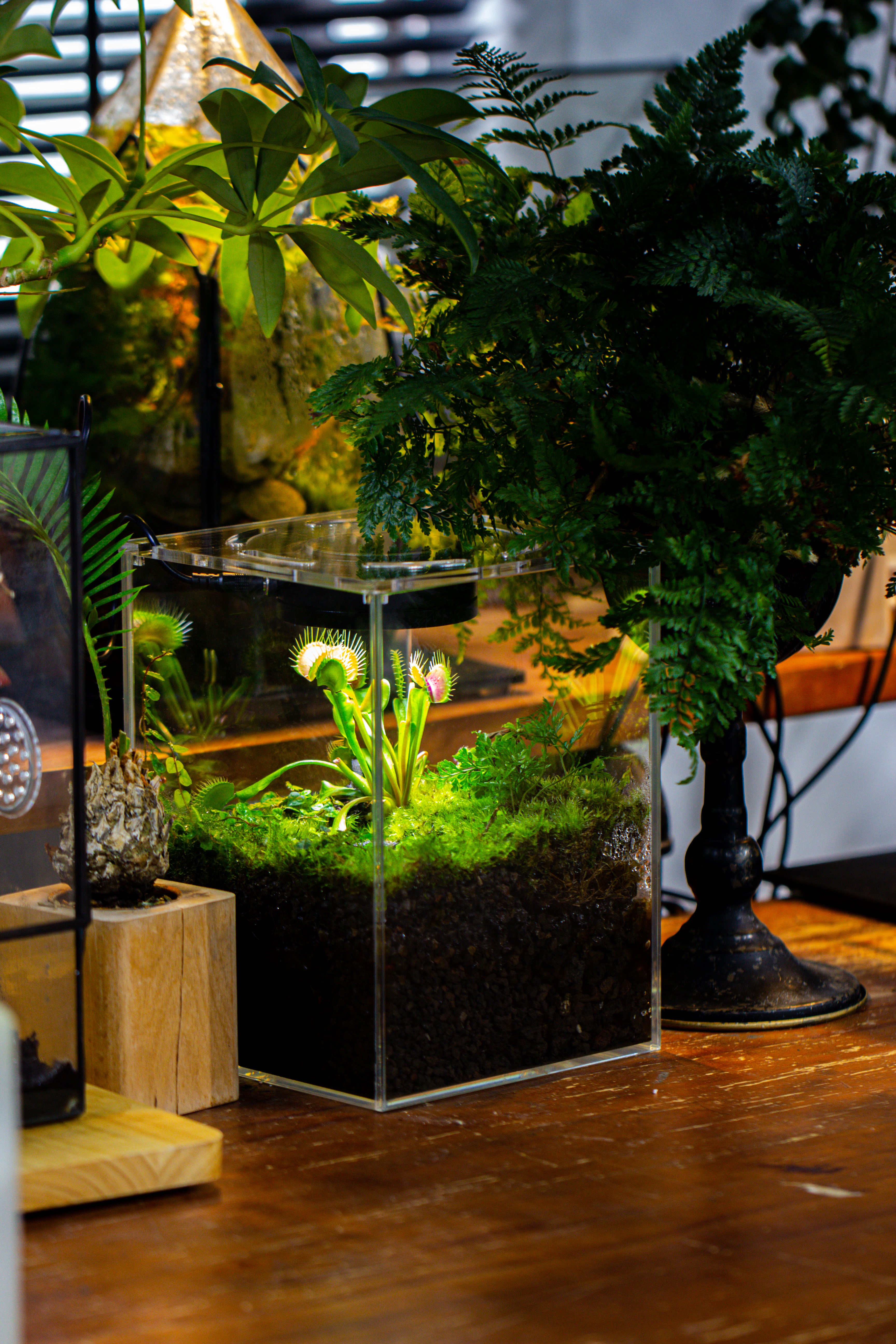 Watertight Glass Tank with LED Grow Light, Acrylic Lid, DIY Terrarium Kit- 25x25x30cm / 9.8x9.8x11.8'' - NCYPgarden