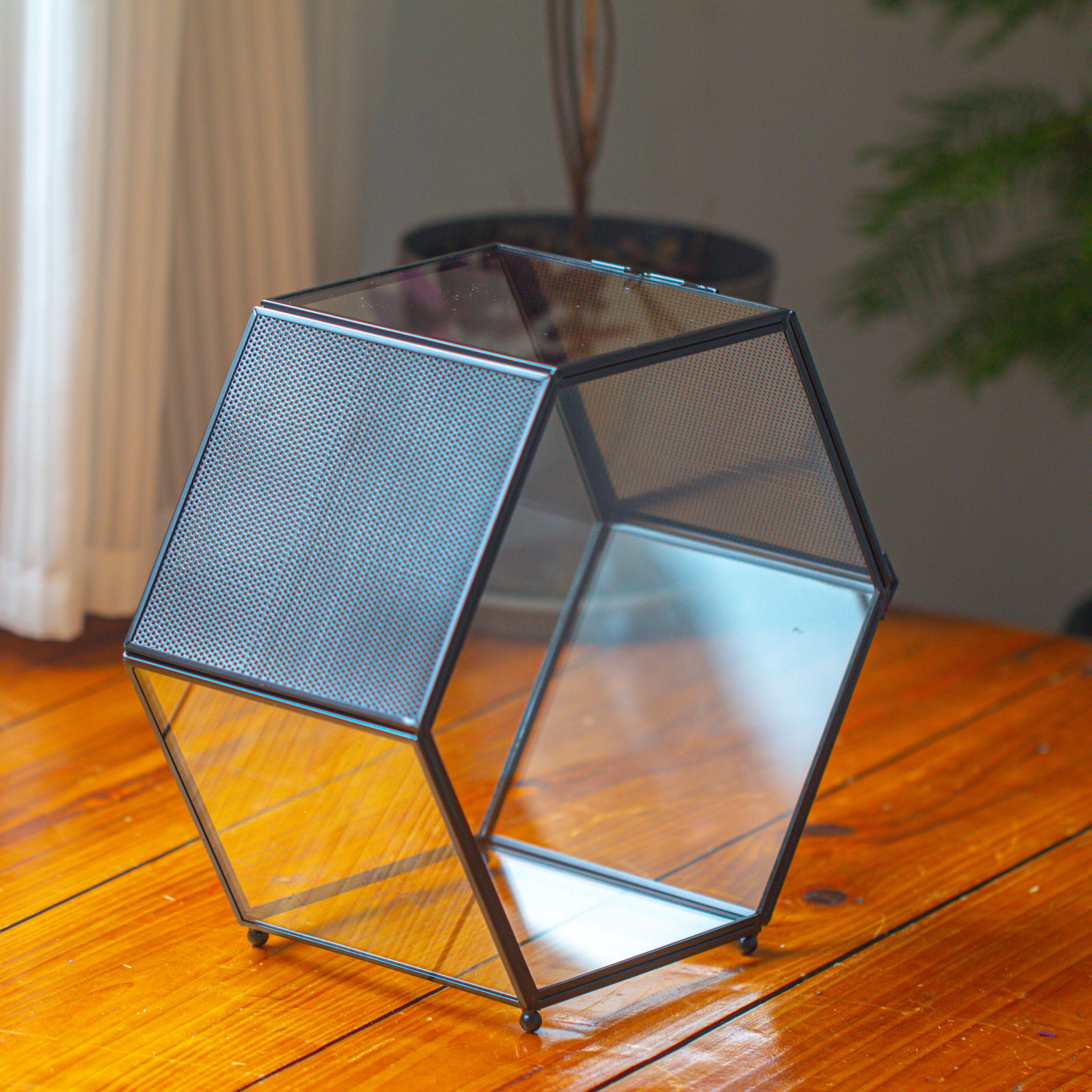 Handmade Hexagon Glass Geometric Terrarium Enclosure with Mesh Vents for Small Insects - NCYPgarden