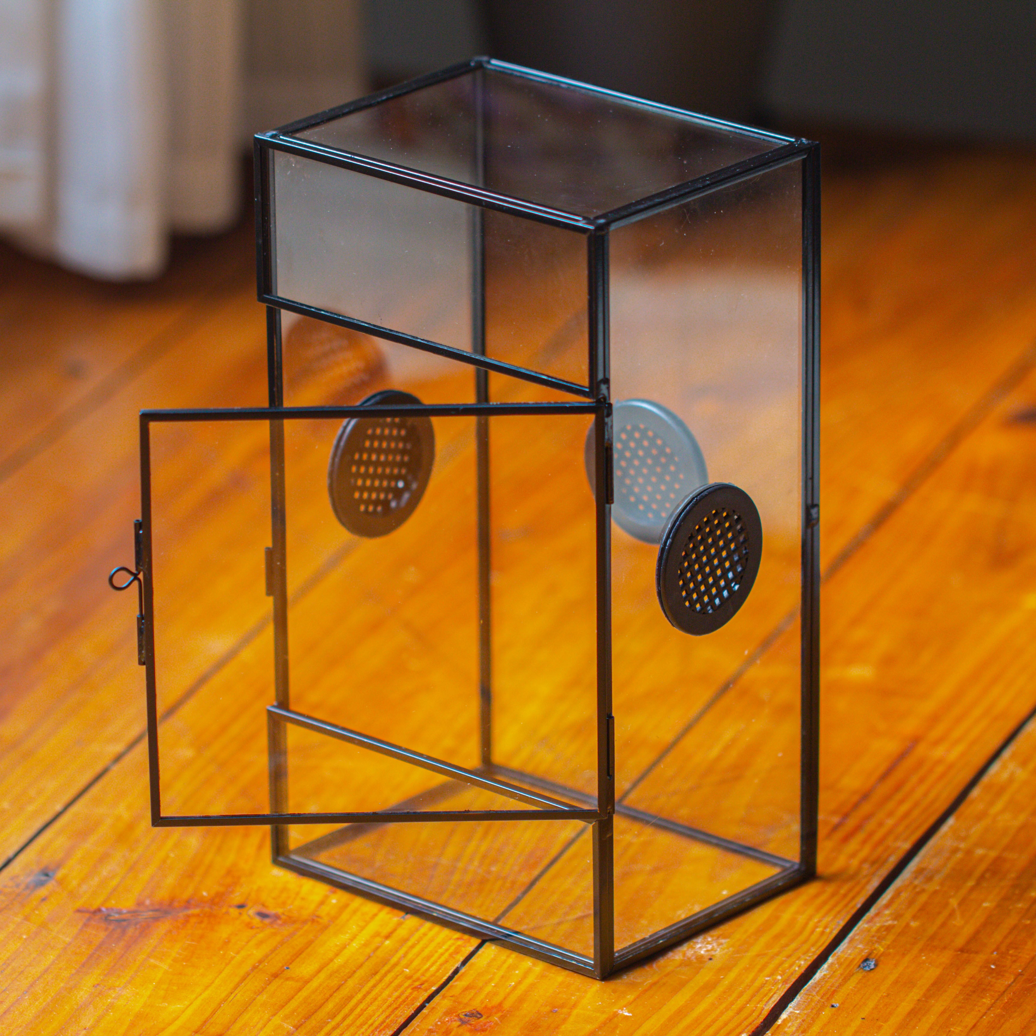 Glass Rectangle Terrarium Enclosure  for Small Insect, Jumping Spider, Snail - NCYPgarden