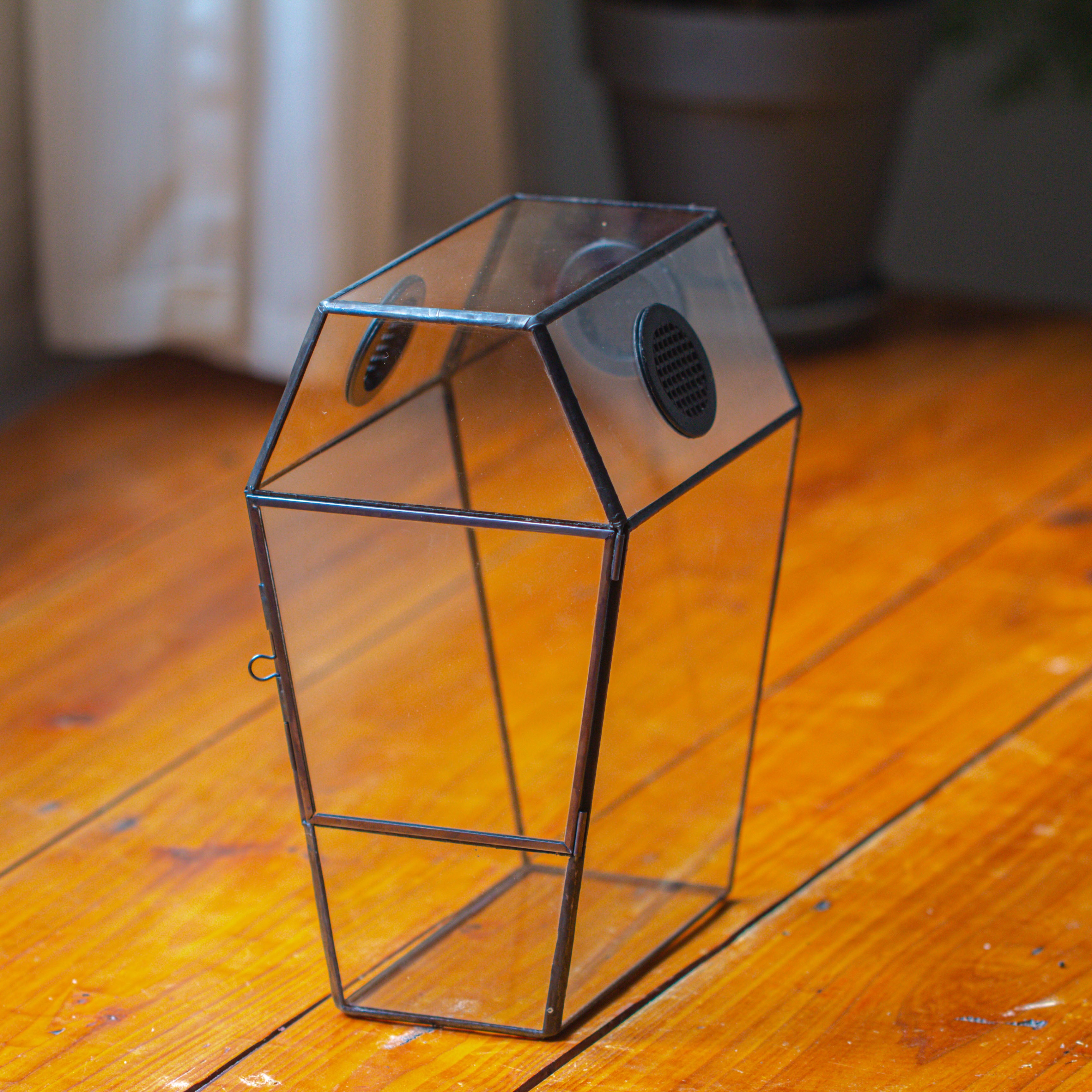 Coffin-Shaped Tin Glass Terrarium Enclosure, Gothic Style, for Jumping Spider, Insects, Snails - NCYPgarden