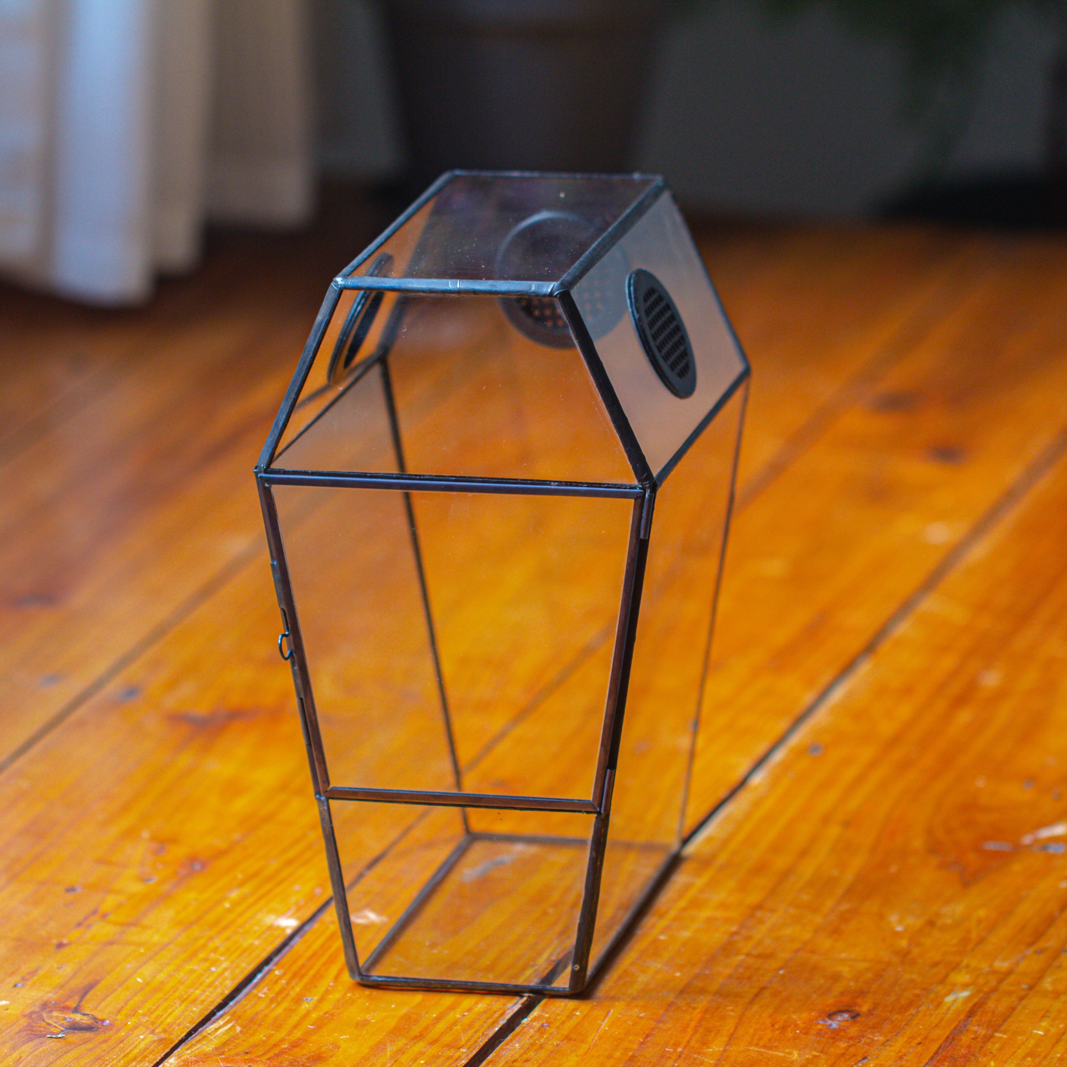 Coffin-Shaped Tin Glass Terrarium Enclosure, Gothic Style, for Jumping Spider, Insects, Snails - NCYPgarden