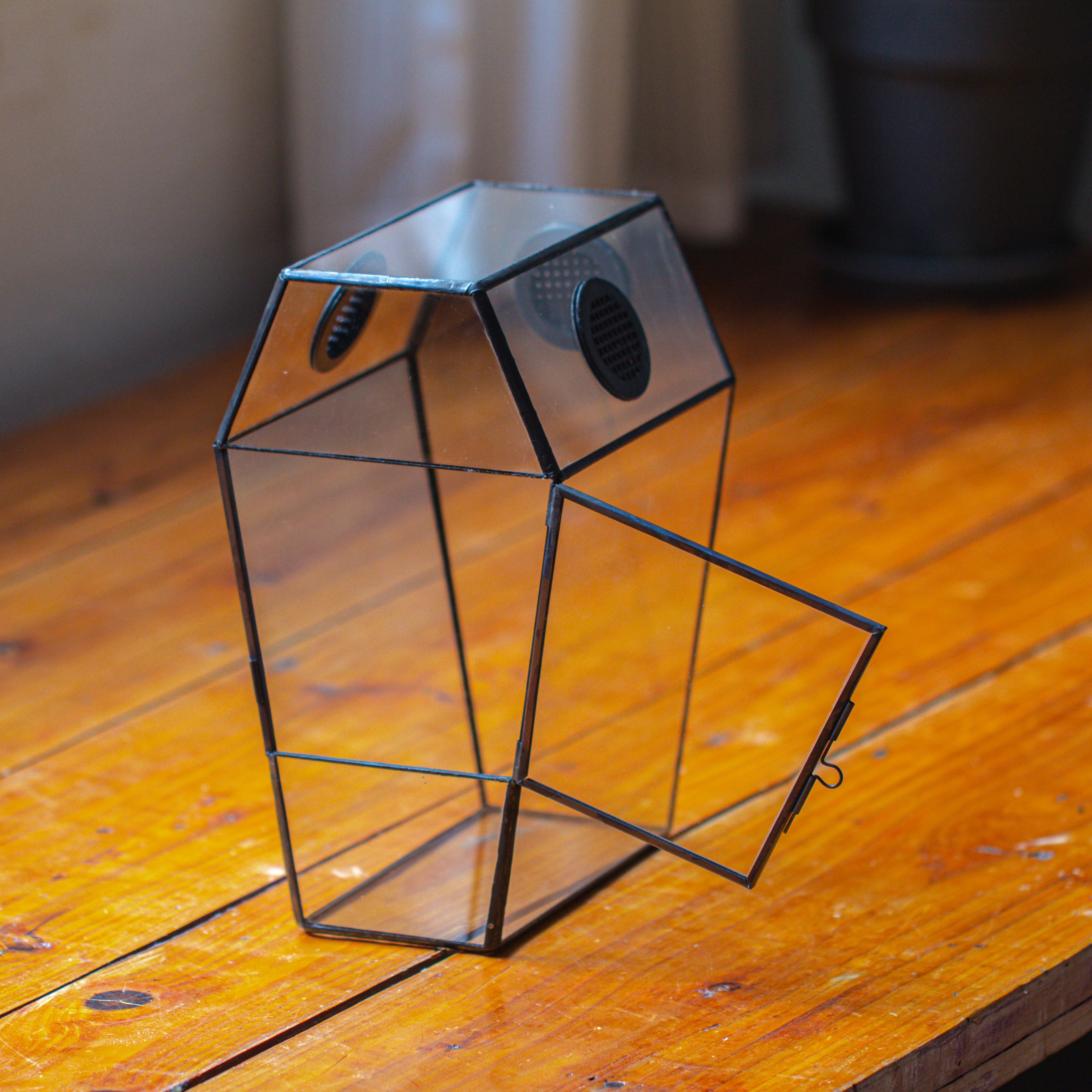 Coffin-Shaped Tin Glass Terrarium Enclosure, Gothic Style, for Jumping Spider, Insects, Snails - NCYPgarden