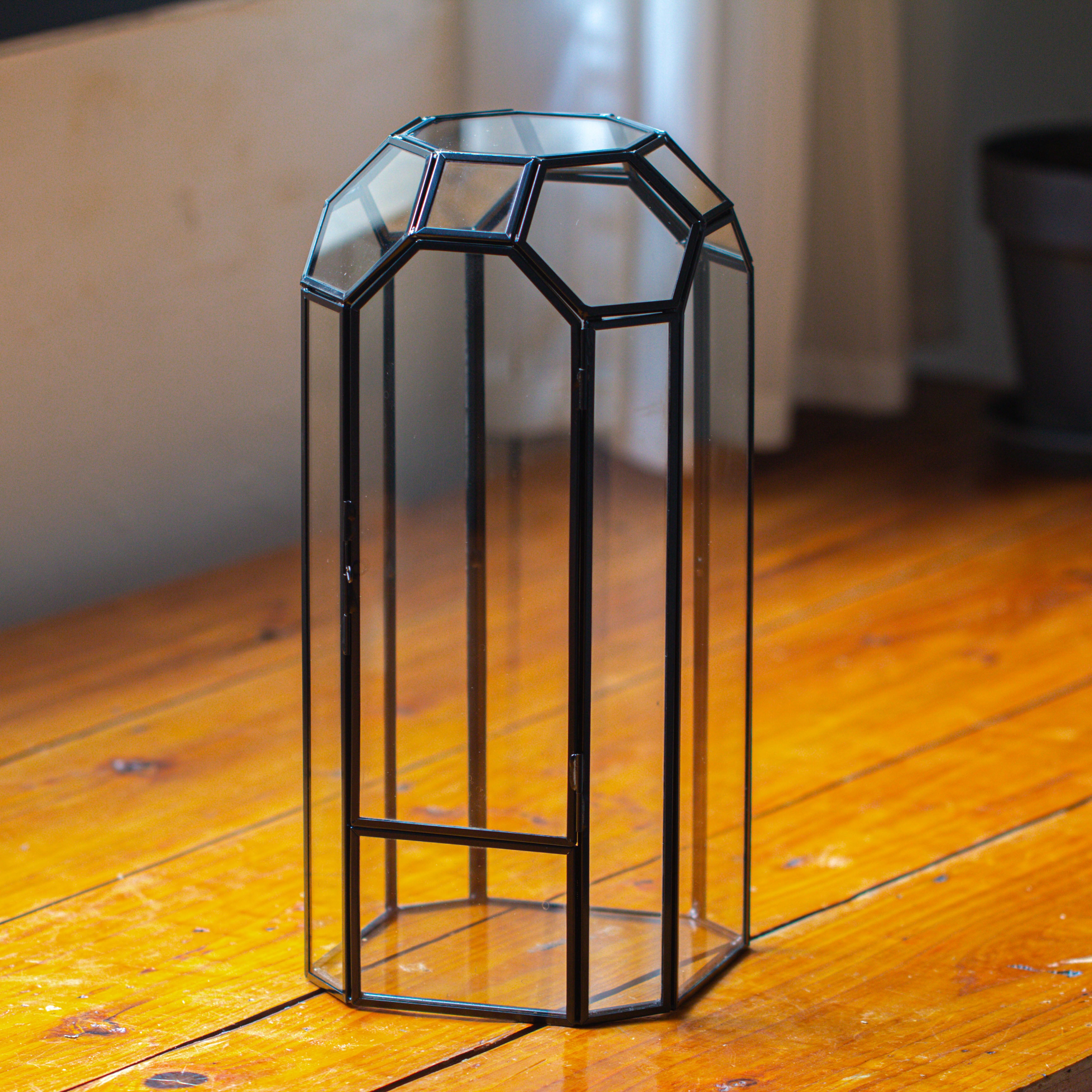 Vintage Tall Octagon Geometric Glass Terrarium , 12.6" , close, suitable for tall plants, orchid, small begonia Pitcher, Micro landscape - NCYPgarden