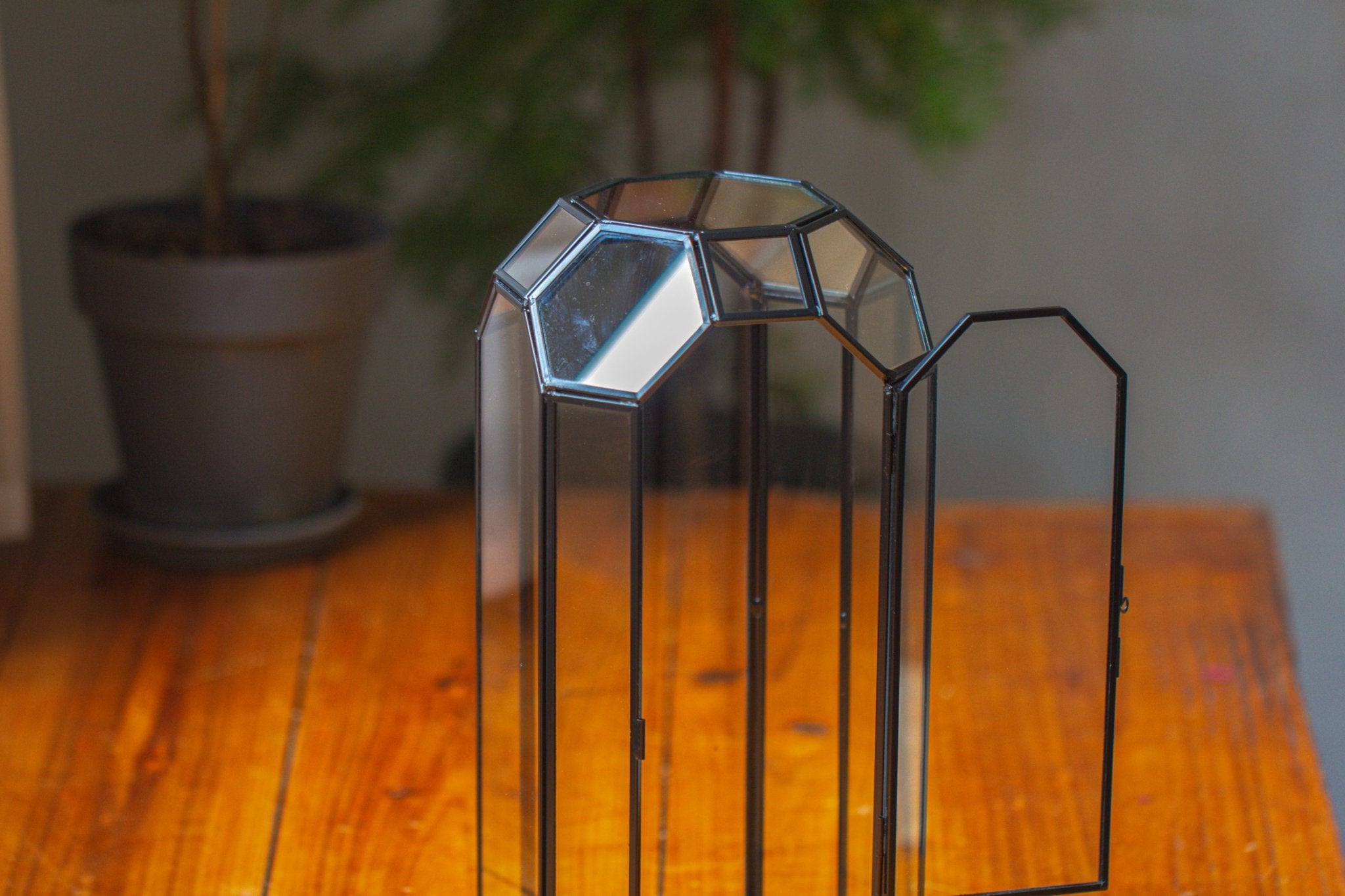 Vintage Tall Octagon Geometric Glass Terrarium , 12.6" , close, suitable for tall plants, orchid, small begonia Pitcher, Micro landscape - NCYPgarden