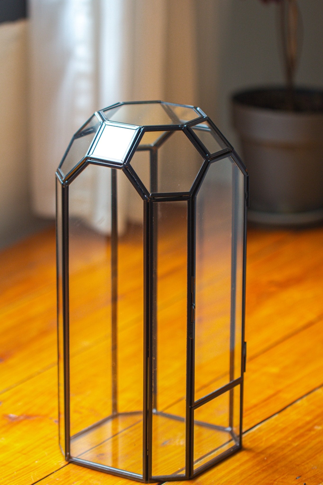 Vintage Tall Octagon Geometric Glass Terrarium , 12.6" , close, suitable for tall plants, orchid, small begonia Pitcher, Micro landscape - NCYPgarden