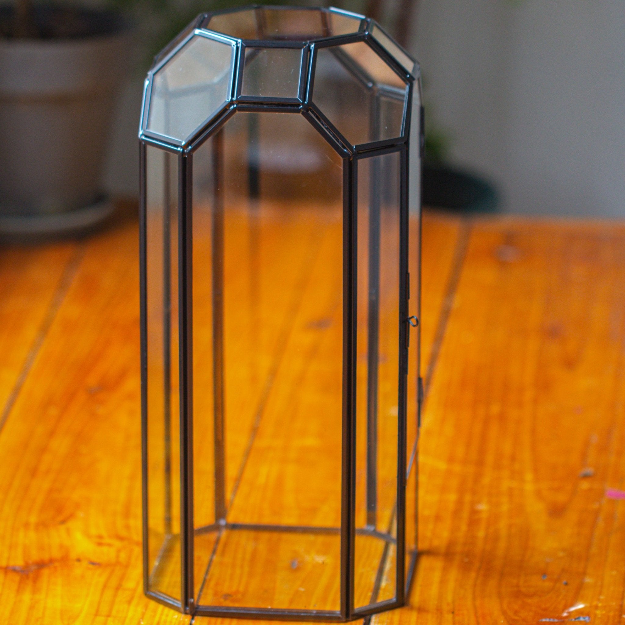 Vintage Tall Octagon Geometric Glass Terrarium , 12.6" , close, suitable for tall plants, orchid, small begonia Pitcher, Micro landscape - NCYPgarden