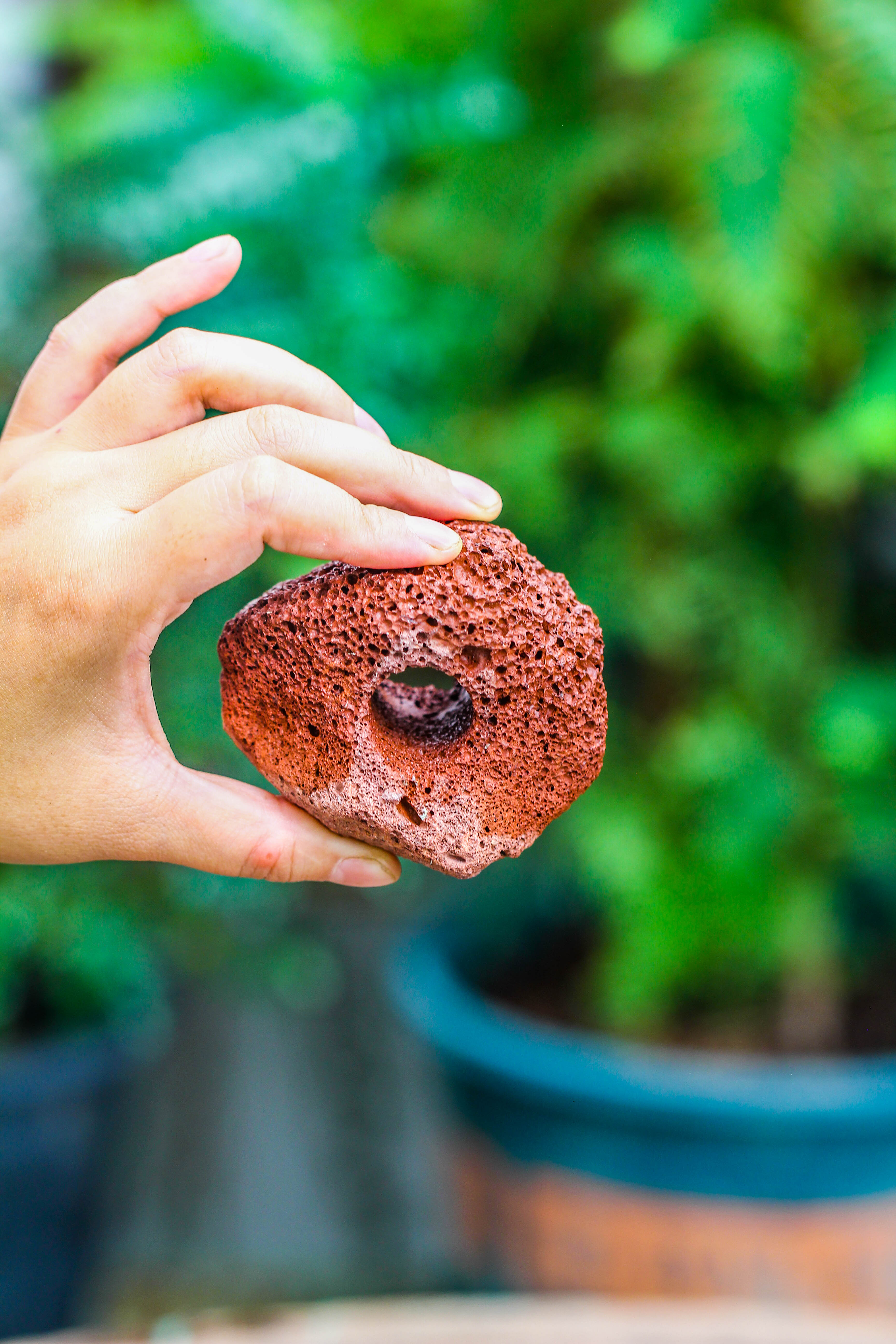 5-8cm Red Horticultural Lava Rock Volcanic Rock for Terrarium, Bonsai Landscape, 500g - NCYPgarden