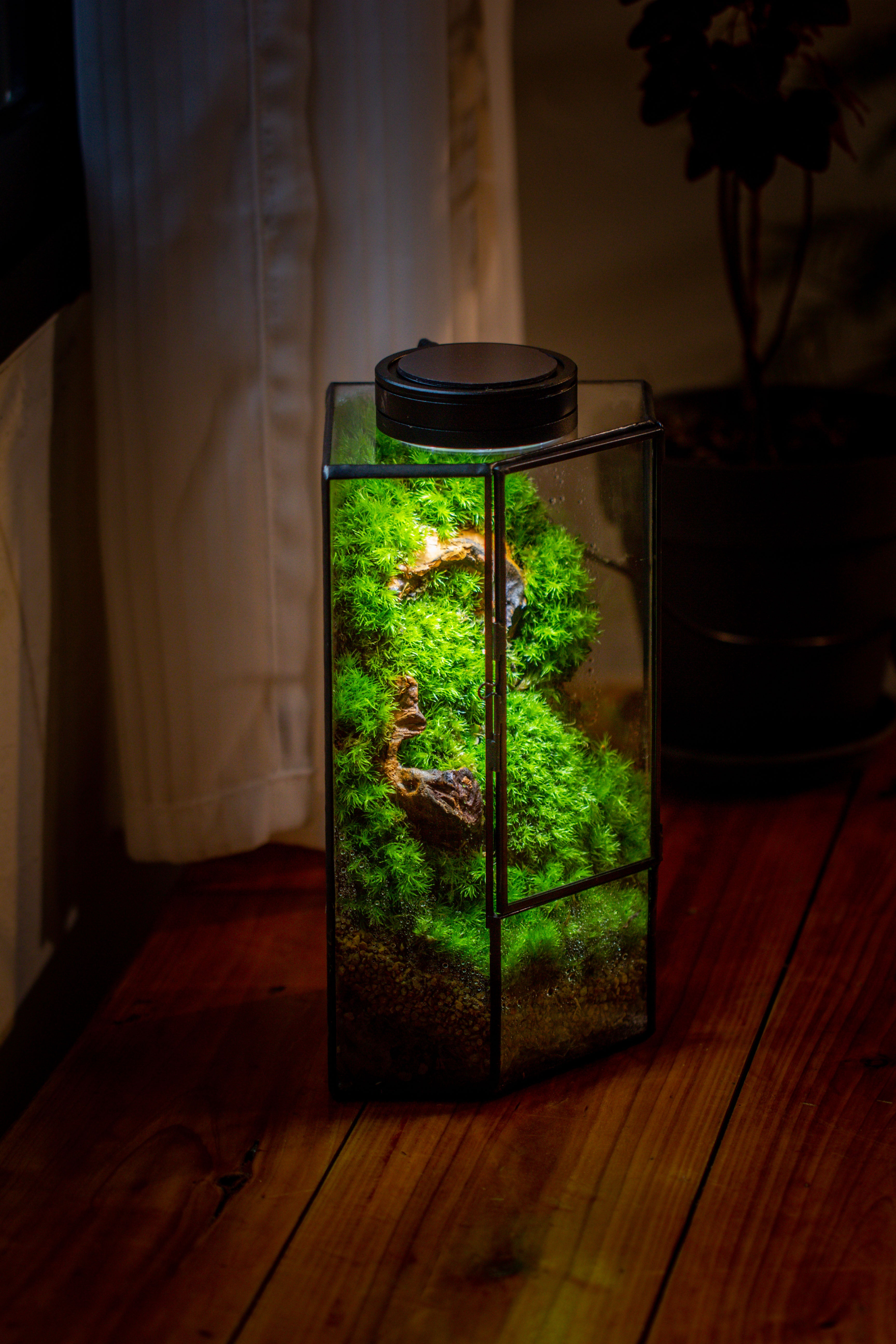 Small Version Handmade Glass Terrarium with Door for Plant, Moss Wall, Closed Geometric Tin Pentagon Planter - NCYPgarden