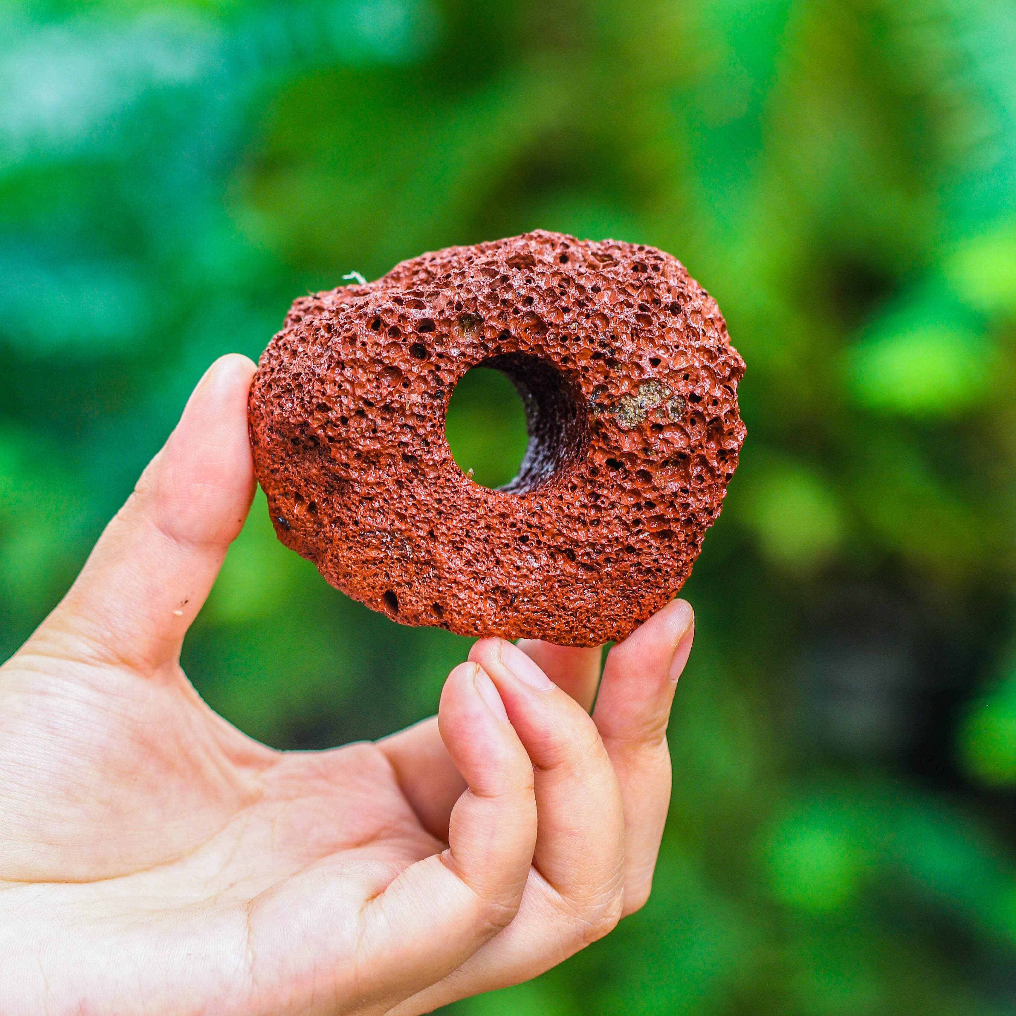 5-8cm Red Horticultural Lava Rock Volcanic Rock for Terrarium, Bonsai Landscape, 500g - NCYPgarden