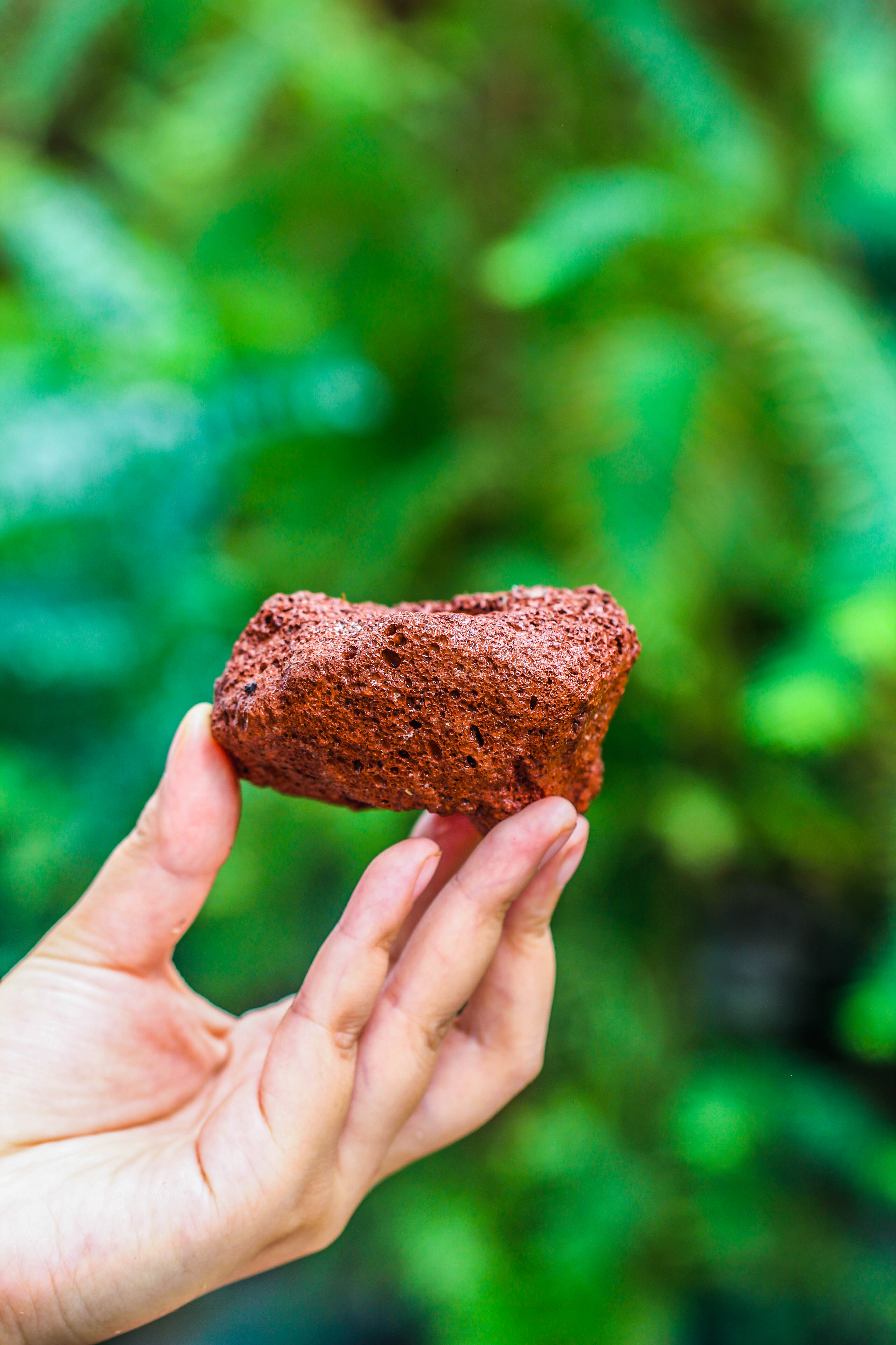 5-8cm Red Horticultural Lava Rock Volcanic Rock for Terrarium, Bonsai Landscape, 500g - NCYPgarden