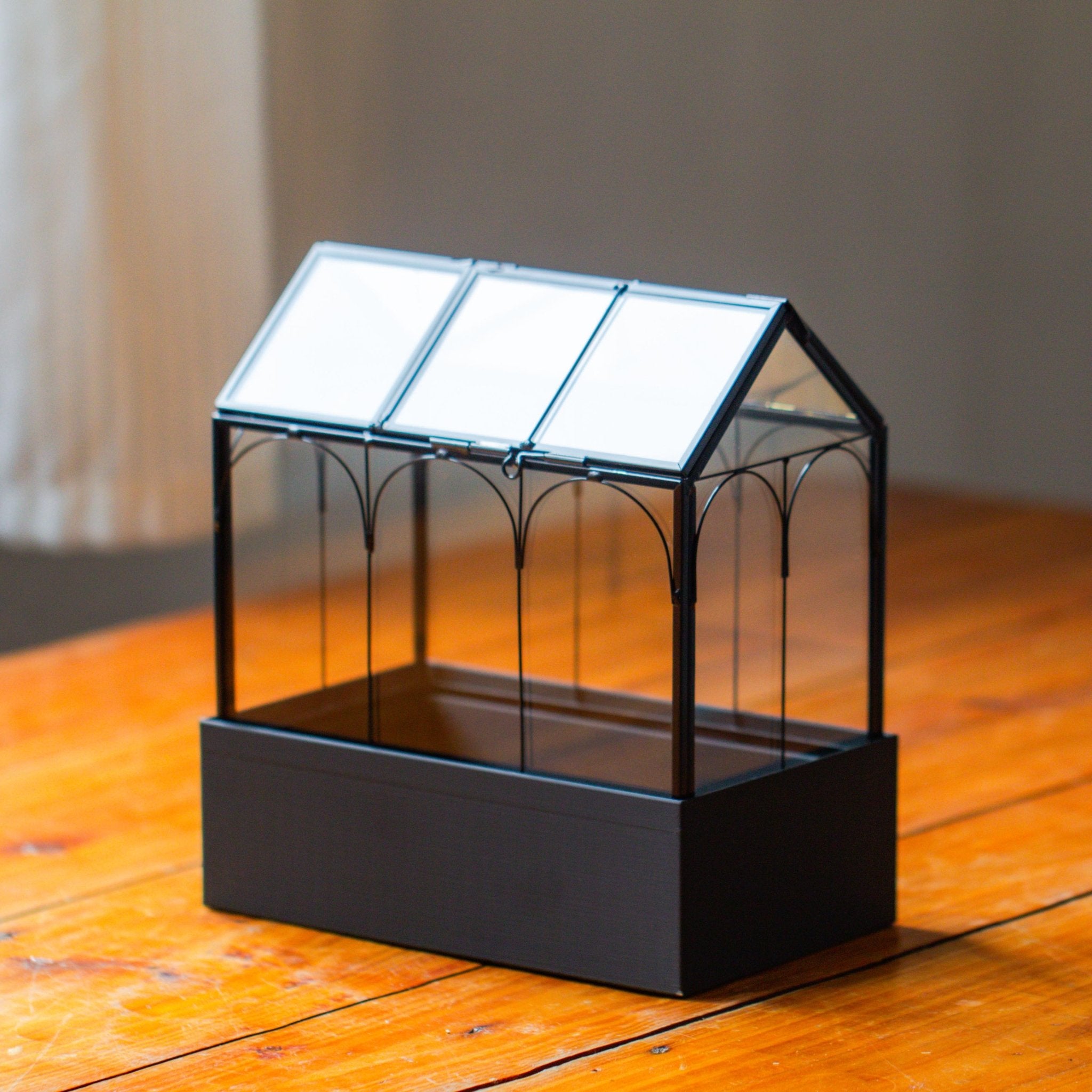 8" Vintage Greenhouse Glass Terrarium with Water - Holding Base and Top Door - NCYPgarden