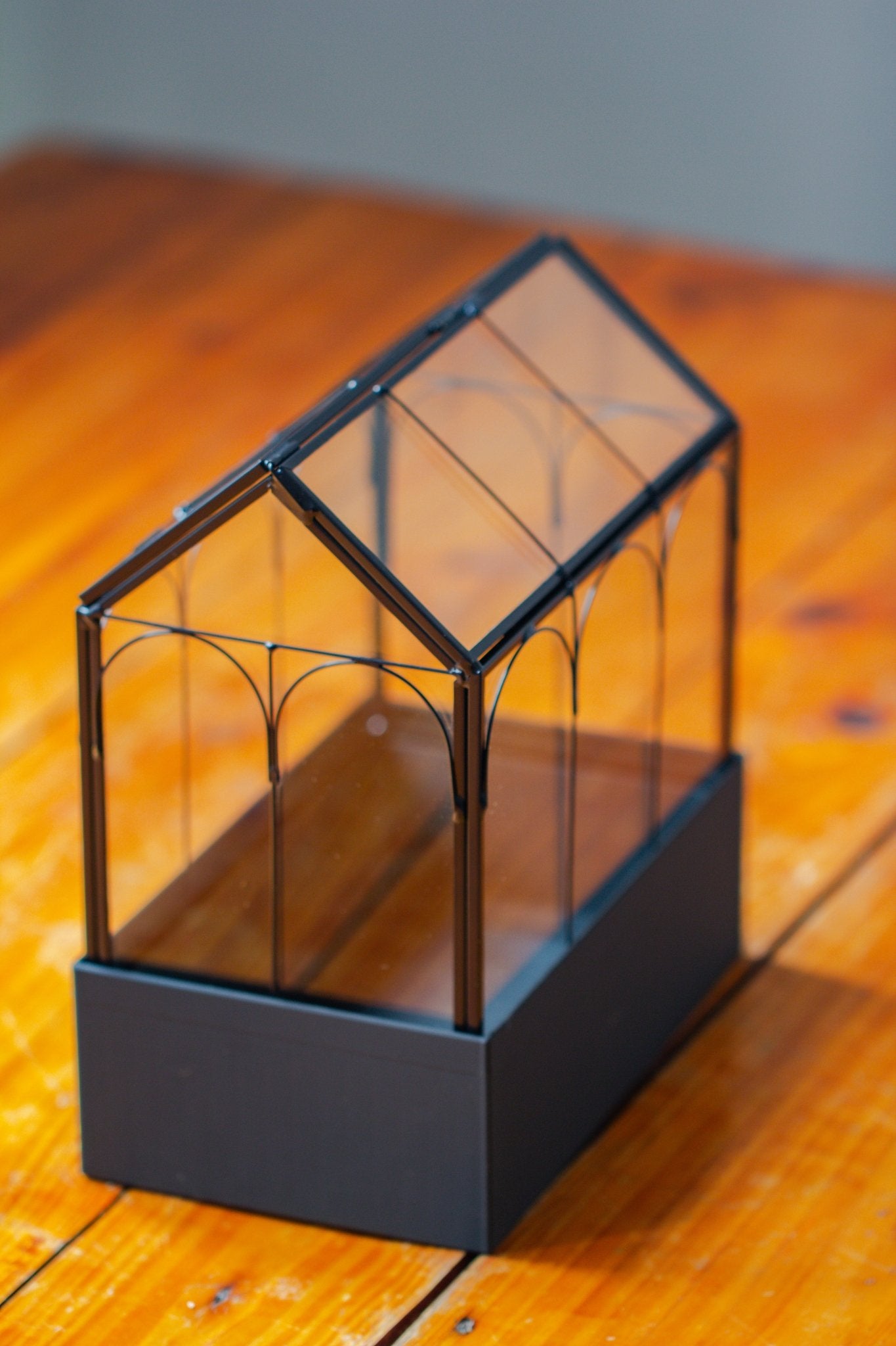 8" Vintage Greenhouse Glass Terrarium with Water - Holding Base and Top Door - NCYPgarden