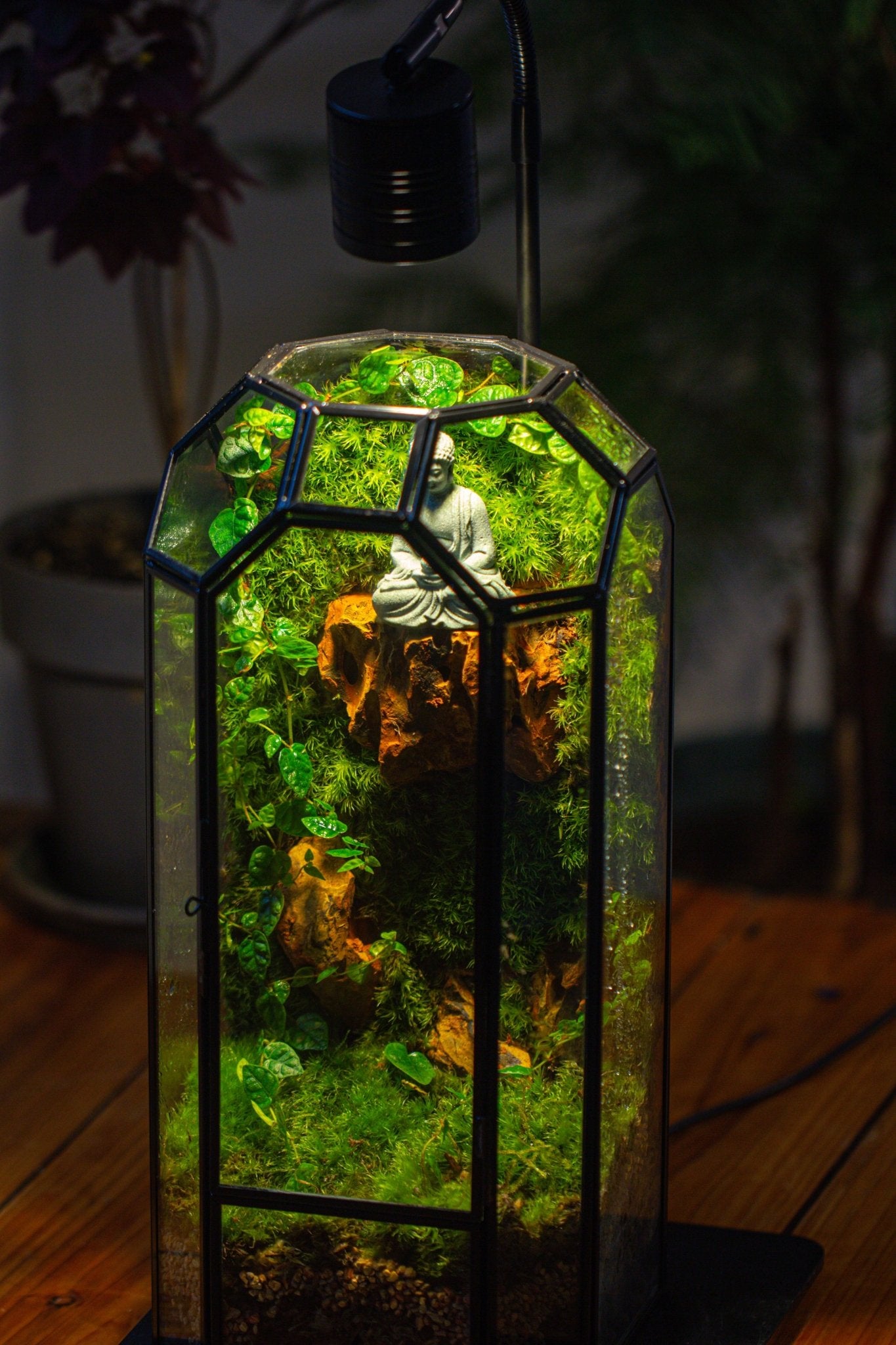 Vintage Tall Octagon Geometric Glass Terrarium , 12.6" , close, suitable for tall plants, orchid, small begonia Pitcher, Micro landscape - NCYPgarden