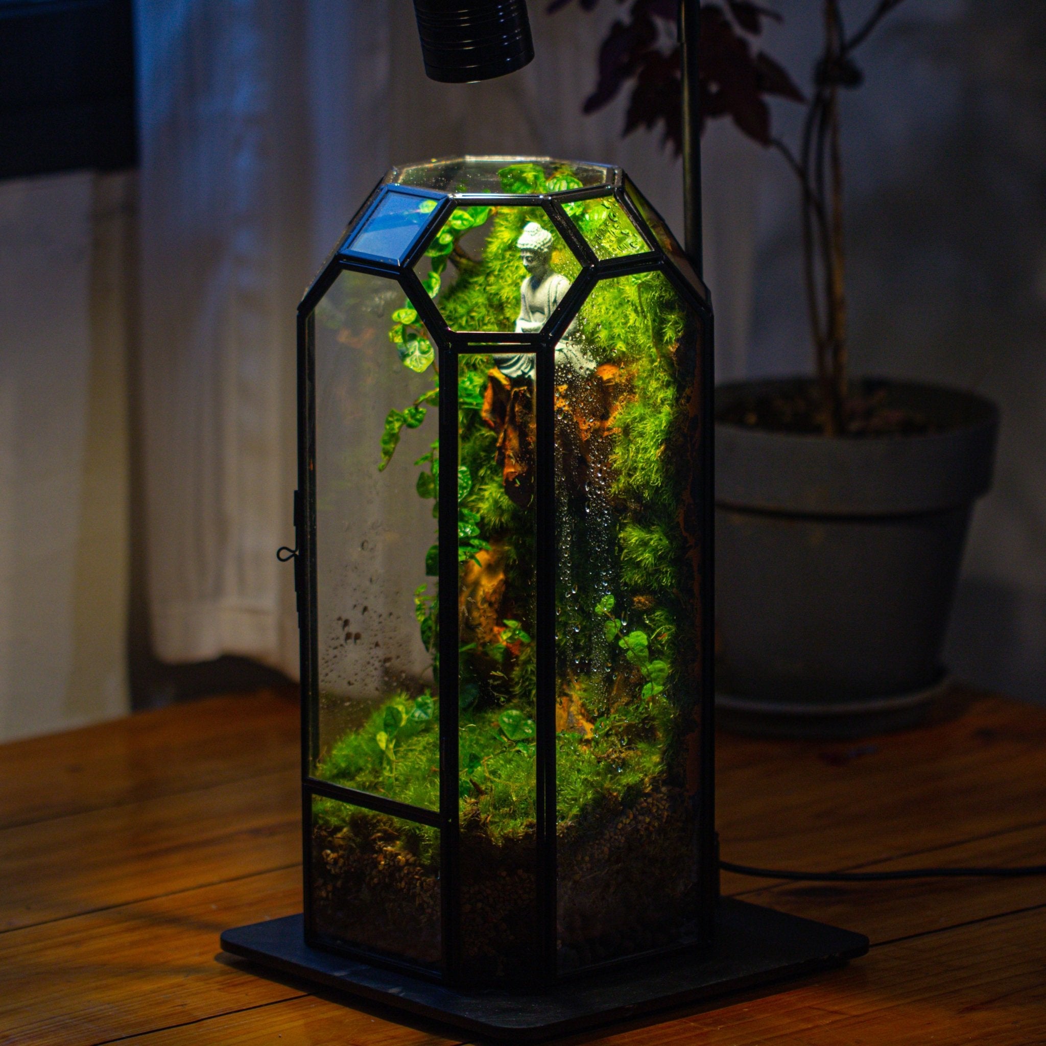 Vintage Tall Octagon Geometric Glass Terrarium , 12.6" , close, suitable for tall plants, orchid, small begonia Pitcher, Micro landscape - NCYPgarden