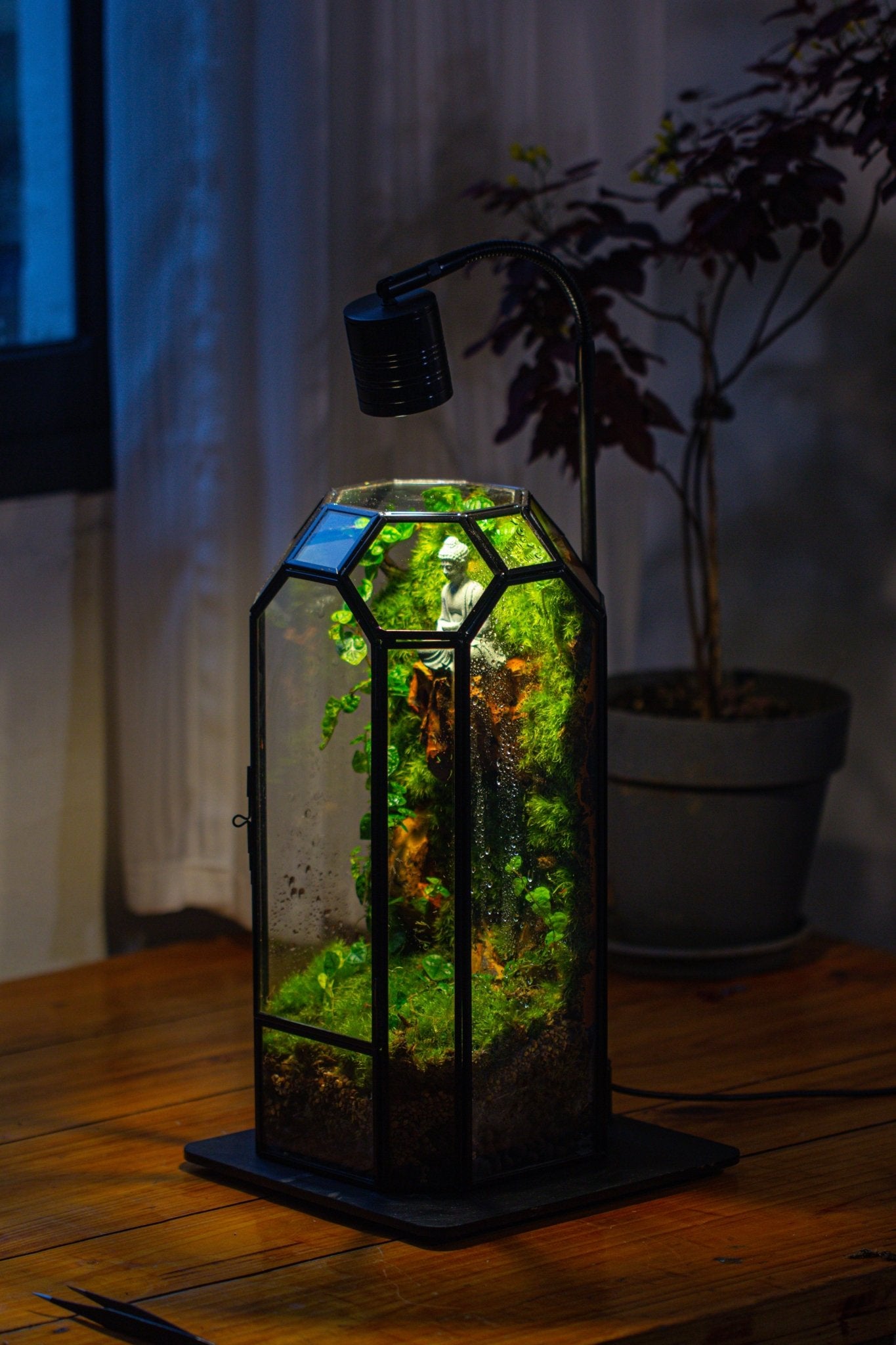 Vintage Tall Octagon Geometric Glass Terrarium , 12.6" , close, suitable for tall plants, orchid, small begonia Pitcher, Micro landscape - NCYPgarden