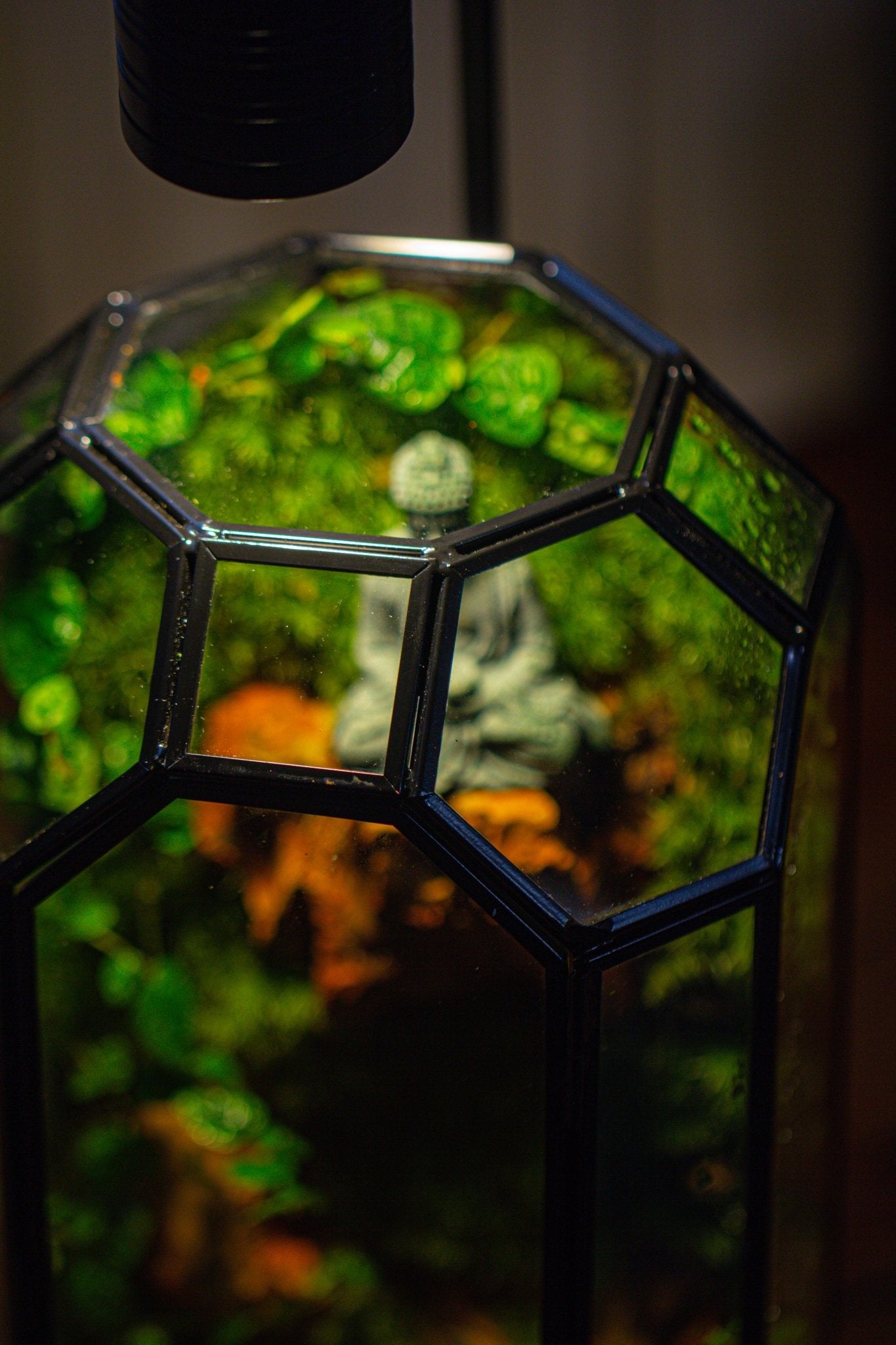 Vintage Tall Octagon Geometric Glass Terrarium , 12.6" , close, suitable for tall plants, orchid, small begonia Pitcher, Micro landscape - NCYPgarden