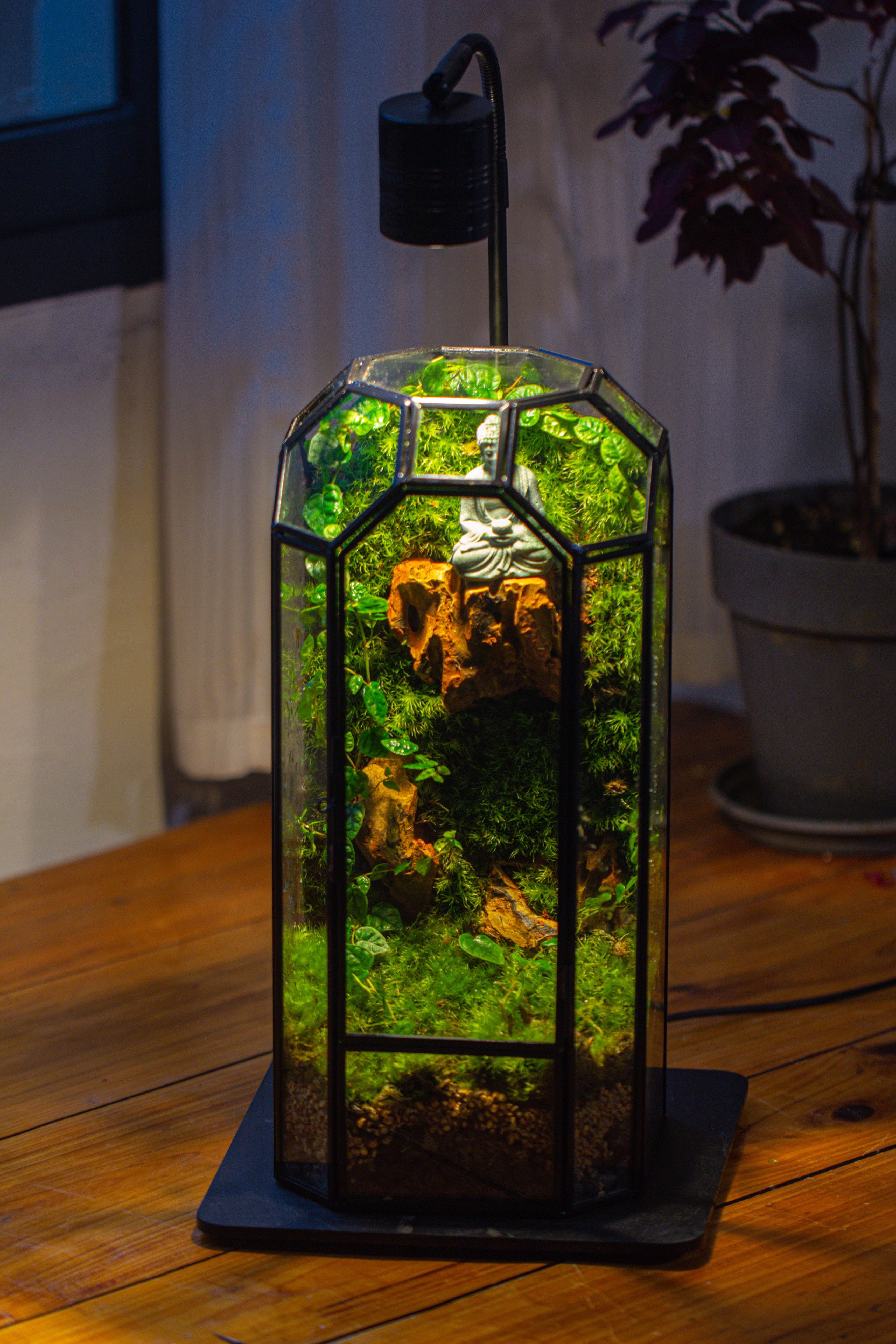 Vintage Tall Octagon Geometric Glass Terrarium , 12.6" , close, suitable for tall plants, orchid, small begonia Pitcher, Micro landscape - NCYPgarden