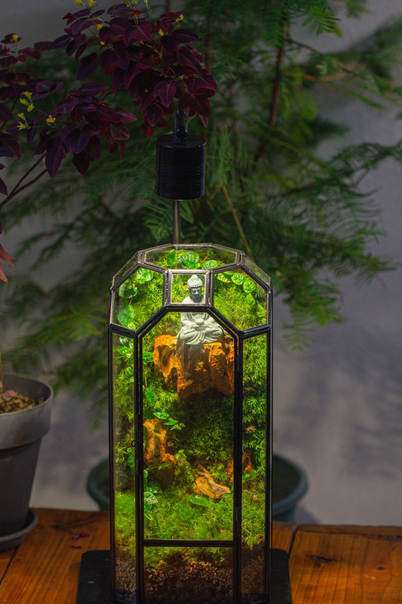 Vintage Tall Octagon Geometric Glass Terrarium , 12.6" , close, suitable for tall plants, orchid, small begonia Pitcher, Micro landscape - NCYPgarden