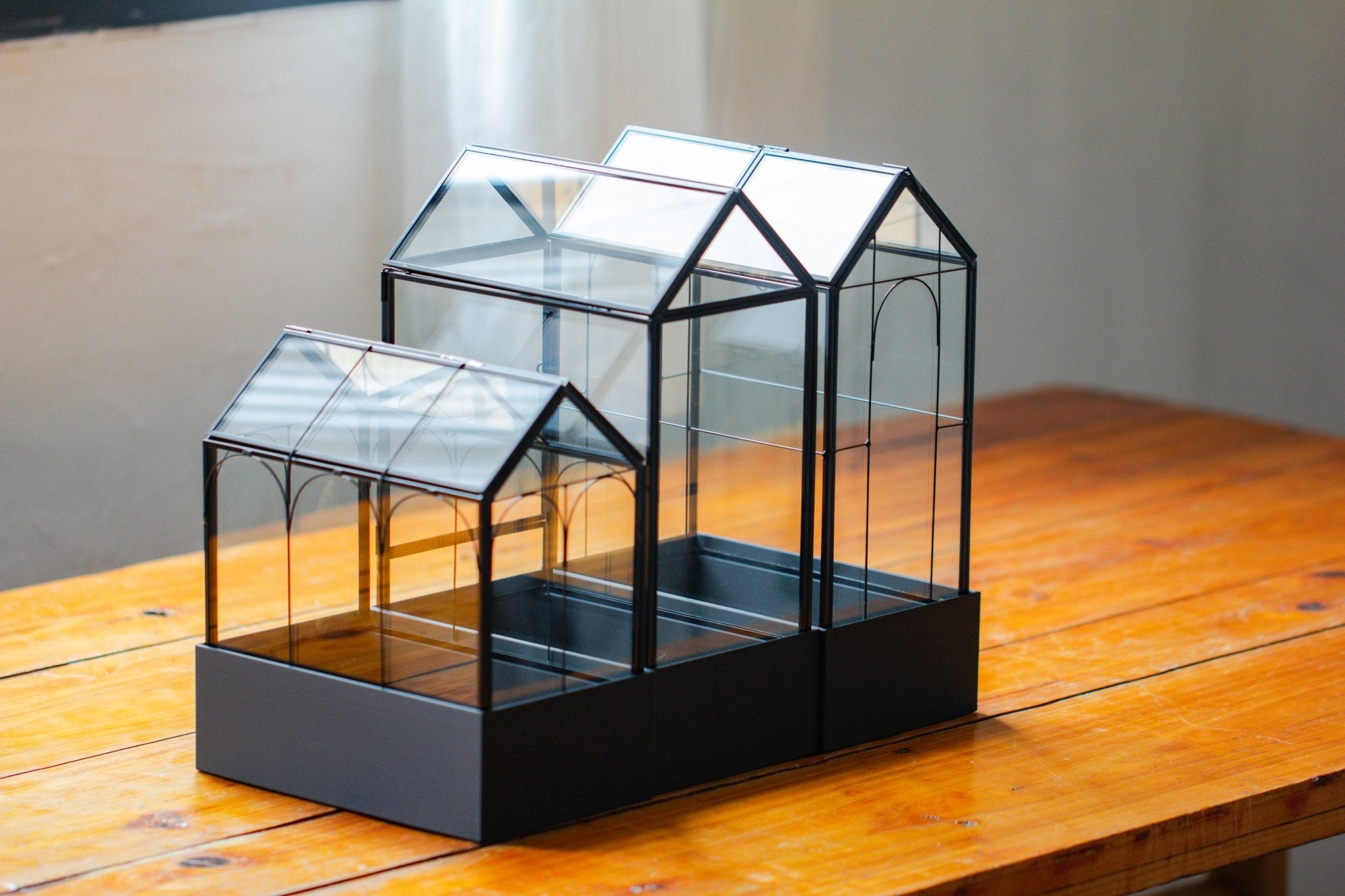 8" Vintage Greenhouse Glass Terrarium with Water - Holding Base and Top Door - NCYPgarden