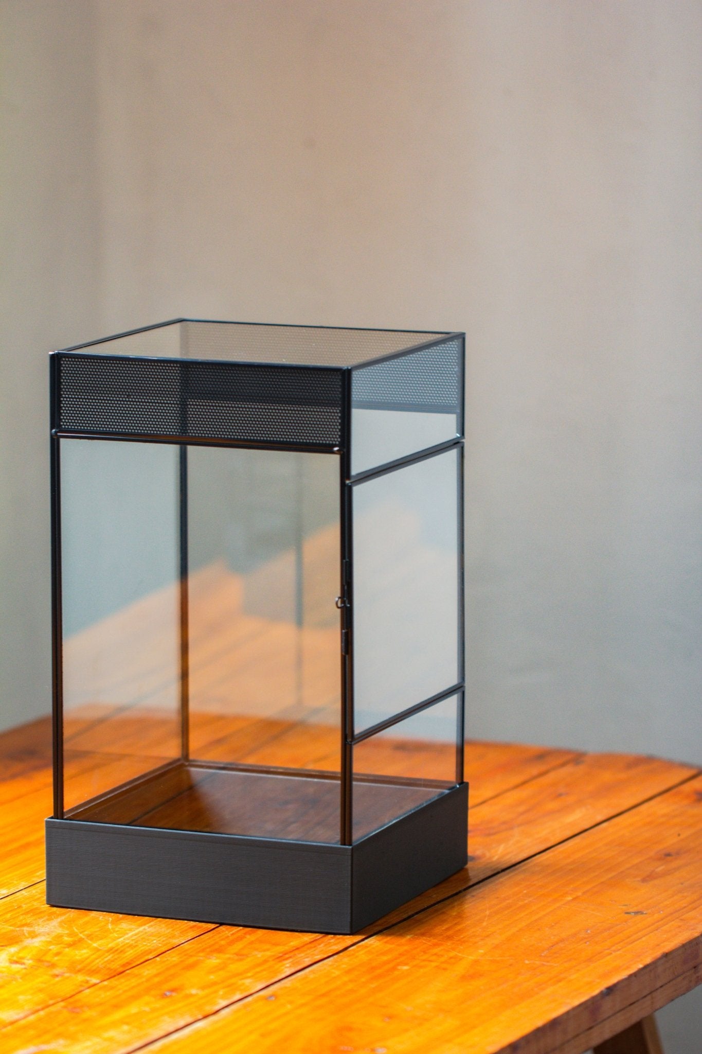 8x8x12 inches Large Handmade Glass Geometric Terrarium with Side Vent, for large insects - NCYPgarden