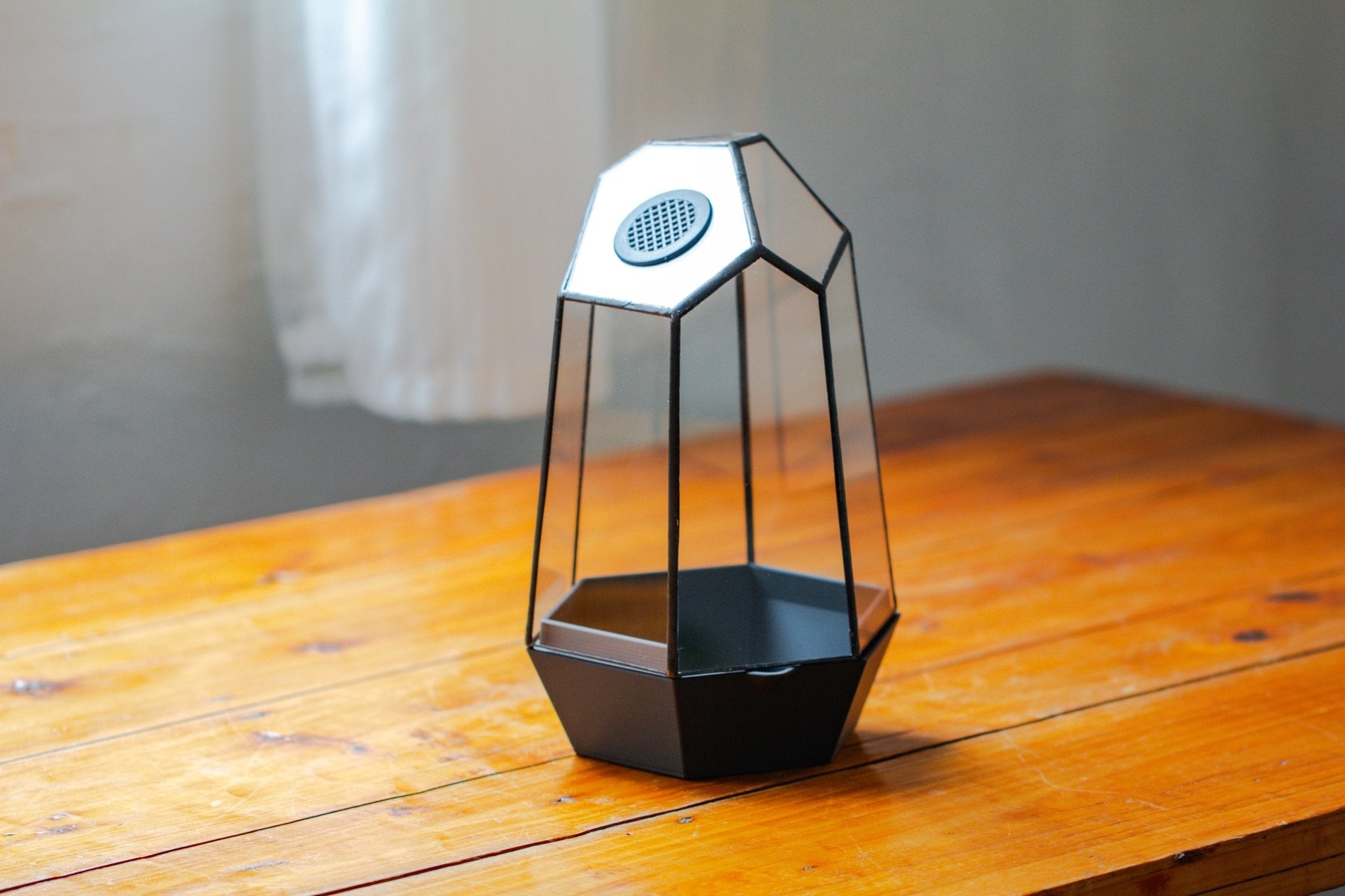 Self - Contained Close Geometric GlassTerrarium with top vent with Waterproof Base, for Moss, Sundew and Venus Flytrap - NCYPgarden