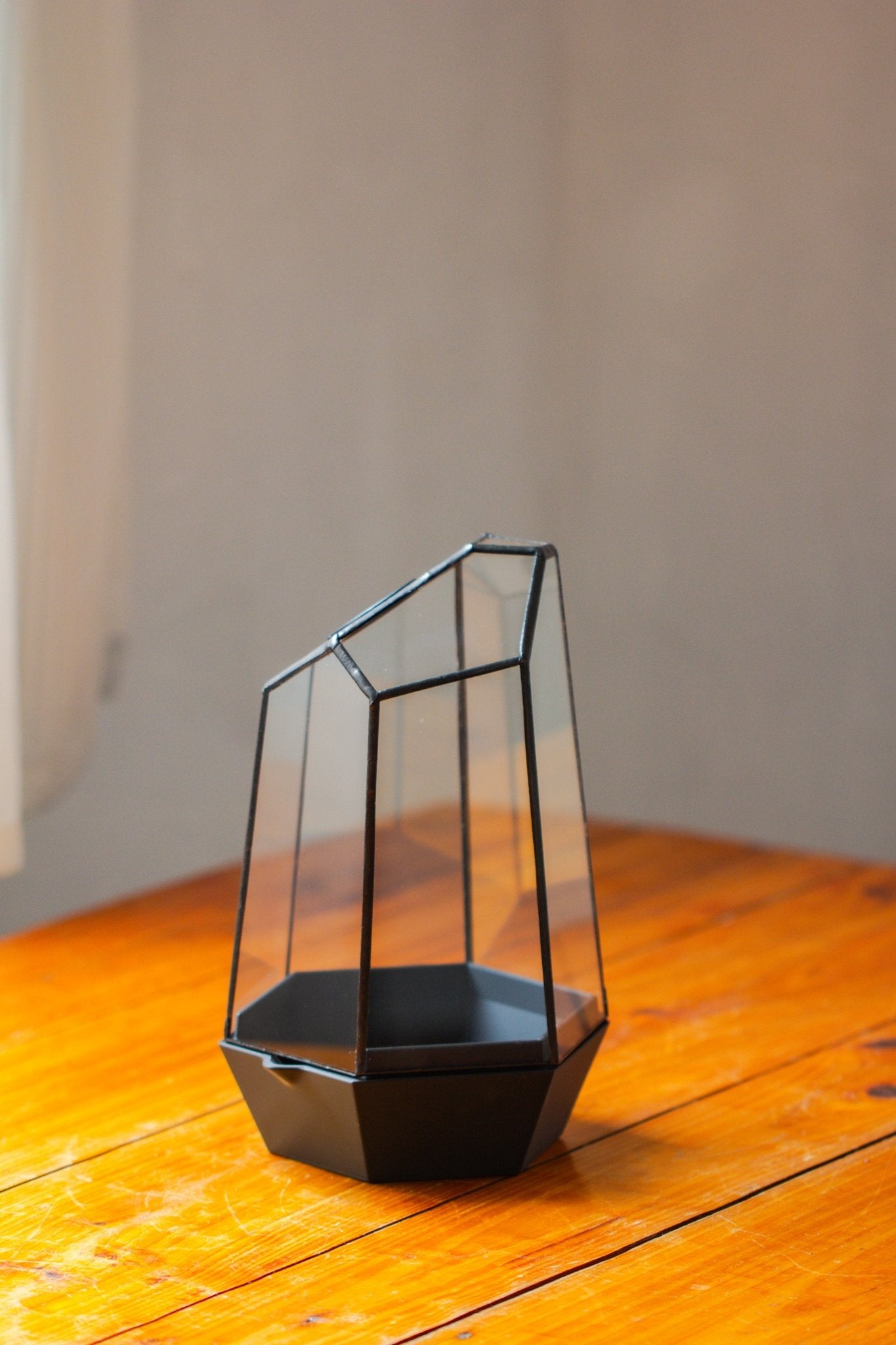 Self - Contained Close Geometric GlassTerrarium with top vent with Waterproof Base, for Moss, Sundew and Venus Flytrap - NCYPgarden