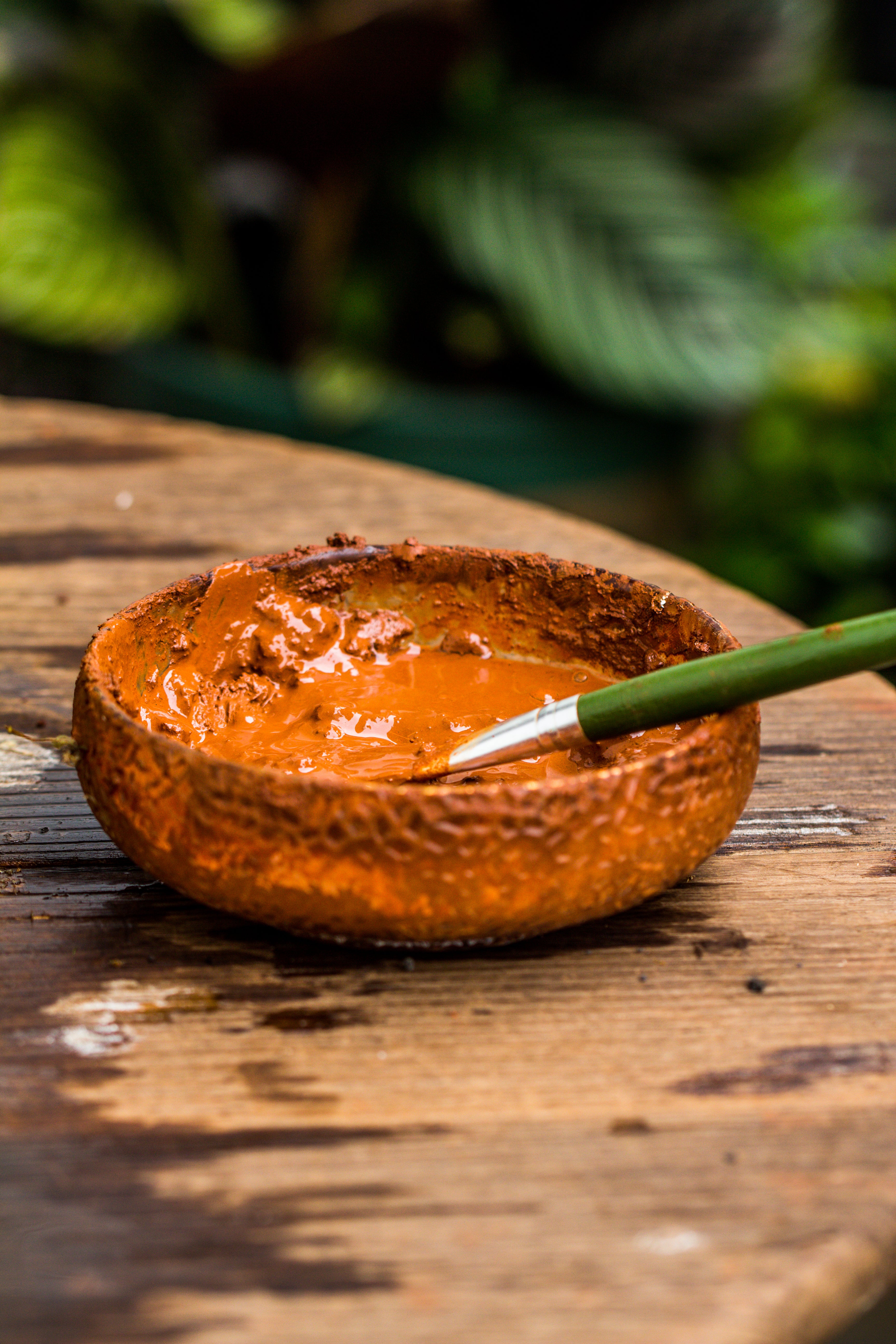 Rain Forest Sticky Red Dirt Soil for DIY Moss Wall, Plant Moss / plants on the Wall, vertical landscape, vivarium, Terrarium - NCYPgarden