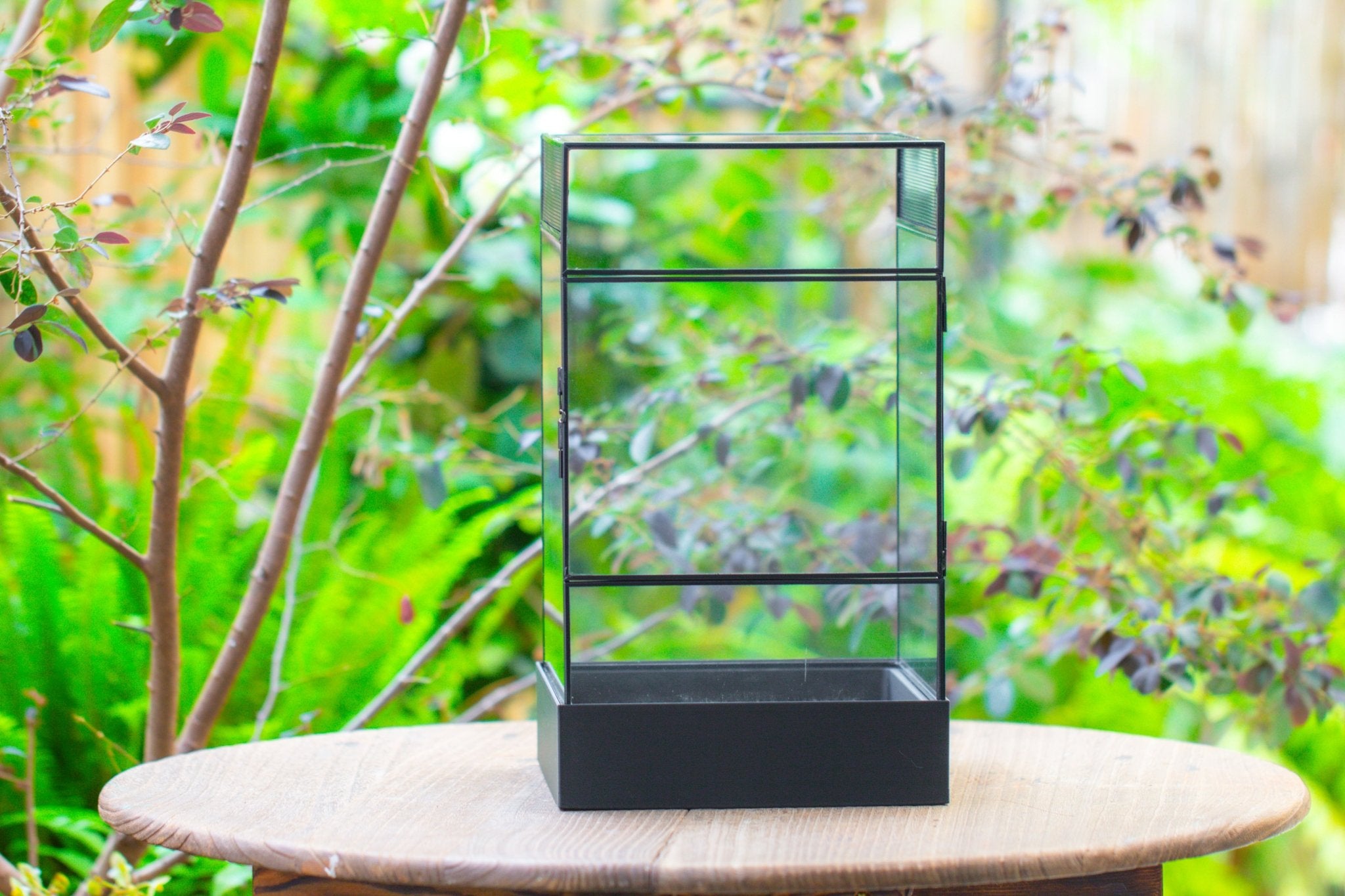 8x8x12 inches Large Handmade Glass Geometric Terrarium with Side Vent, for large insects - NCYPgarden