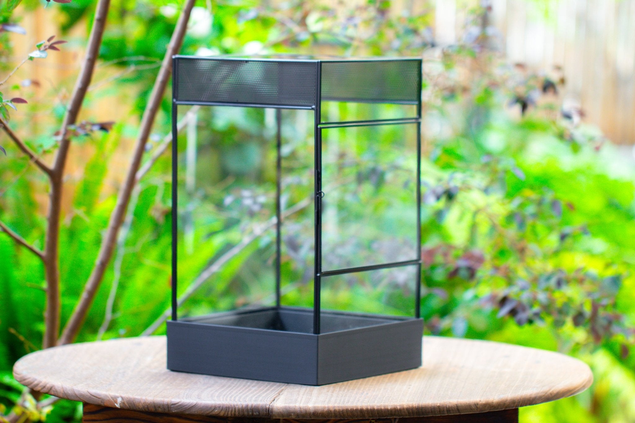 8x8x12 inches Large Handmade Glass Geometric Terrarium with Side Vent, for large insects - NCYPgarden