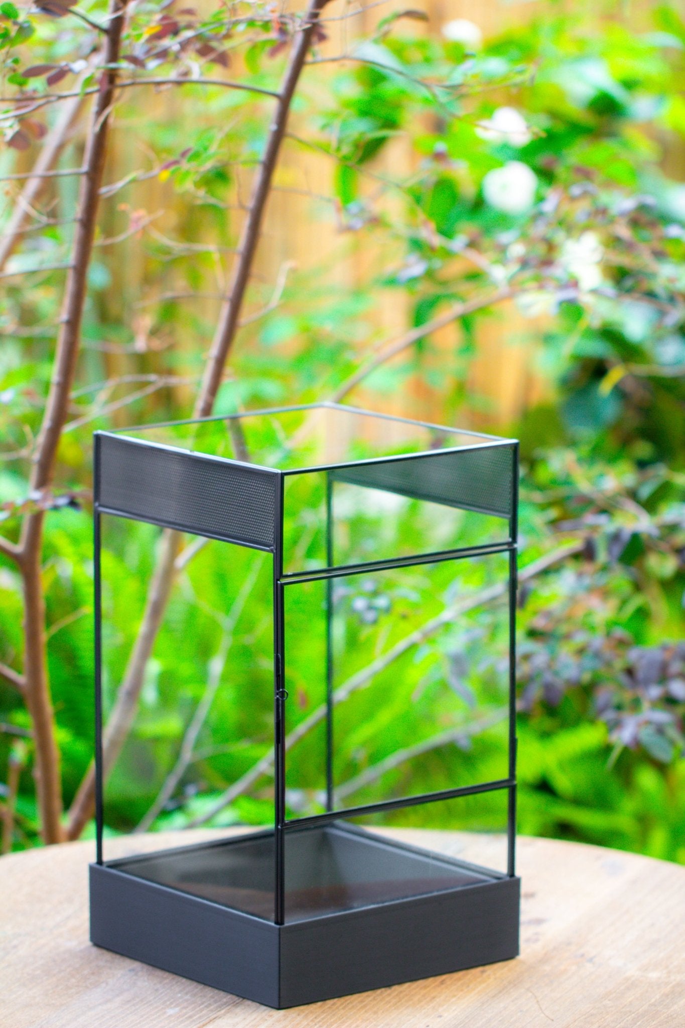 8x8x12 inches Large Handmade Glass Geometric Terrarium with Side Vent, for large insects - NCYPgarden