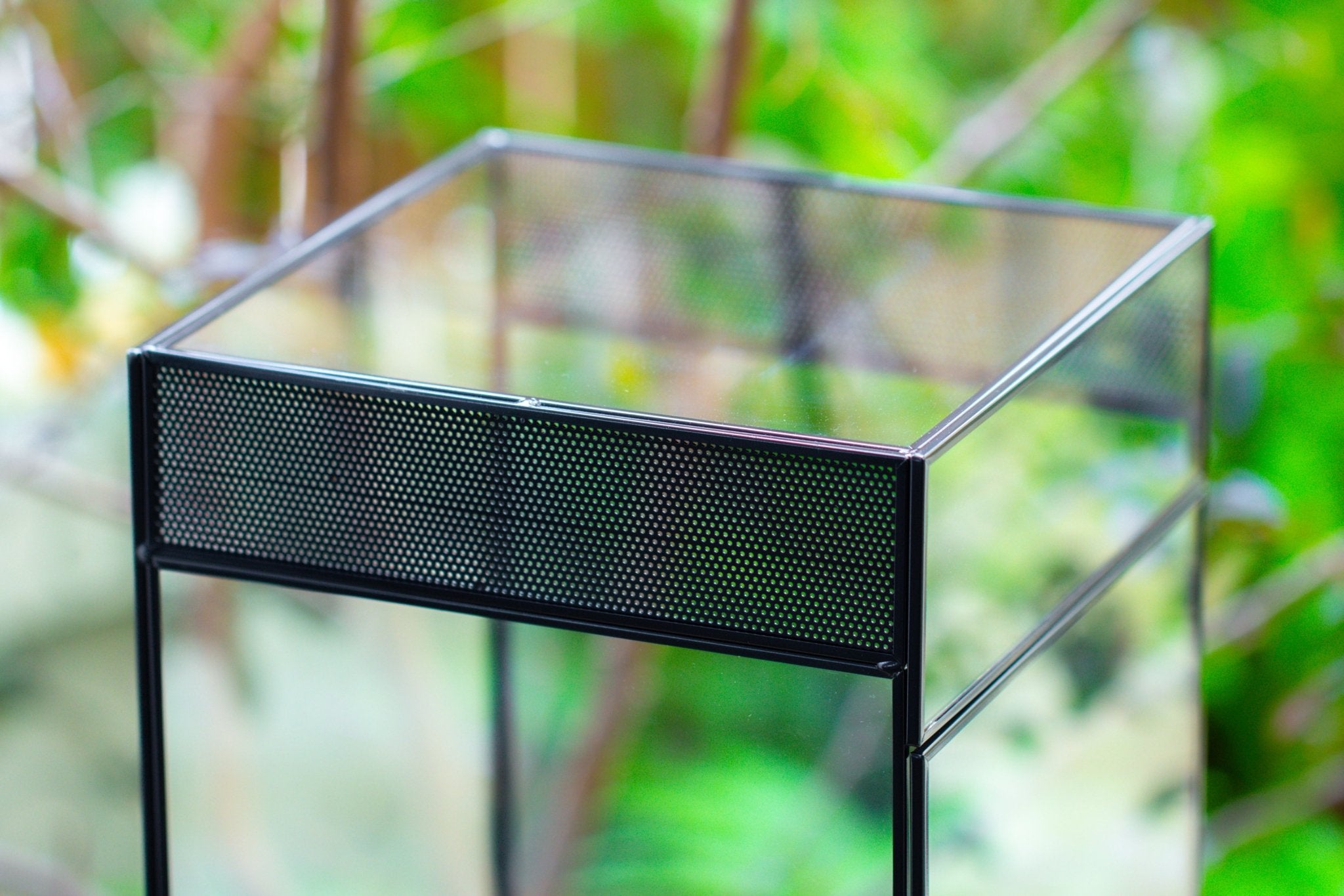 8x8x12 inches Large Handmade Glass Geometric Terrarium with Side Vent, for large insects - NCYPgarden