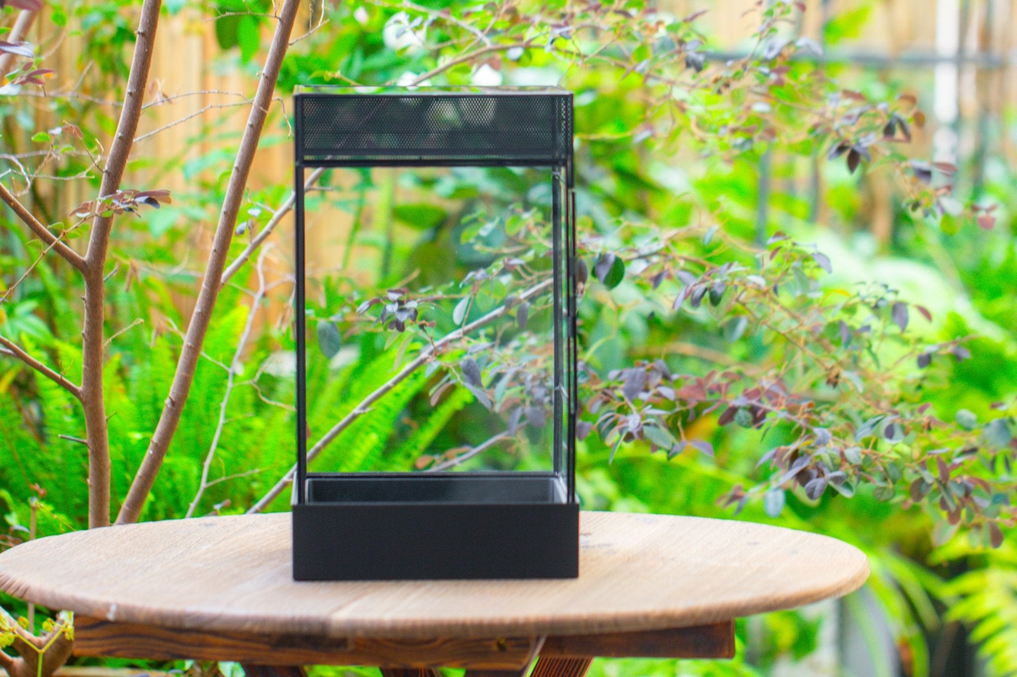 8x8x12 inches Large Handmade Glass Geometric Terrarium with Side Vent, for large insects - NCYPgarden