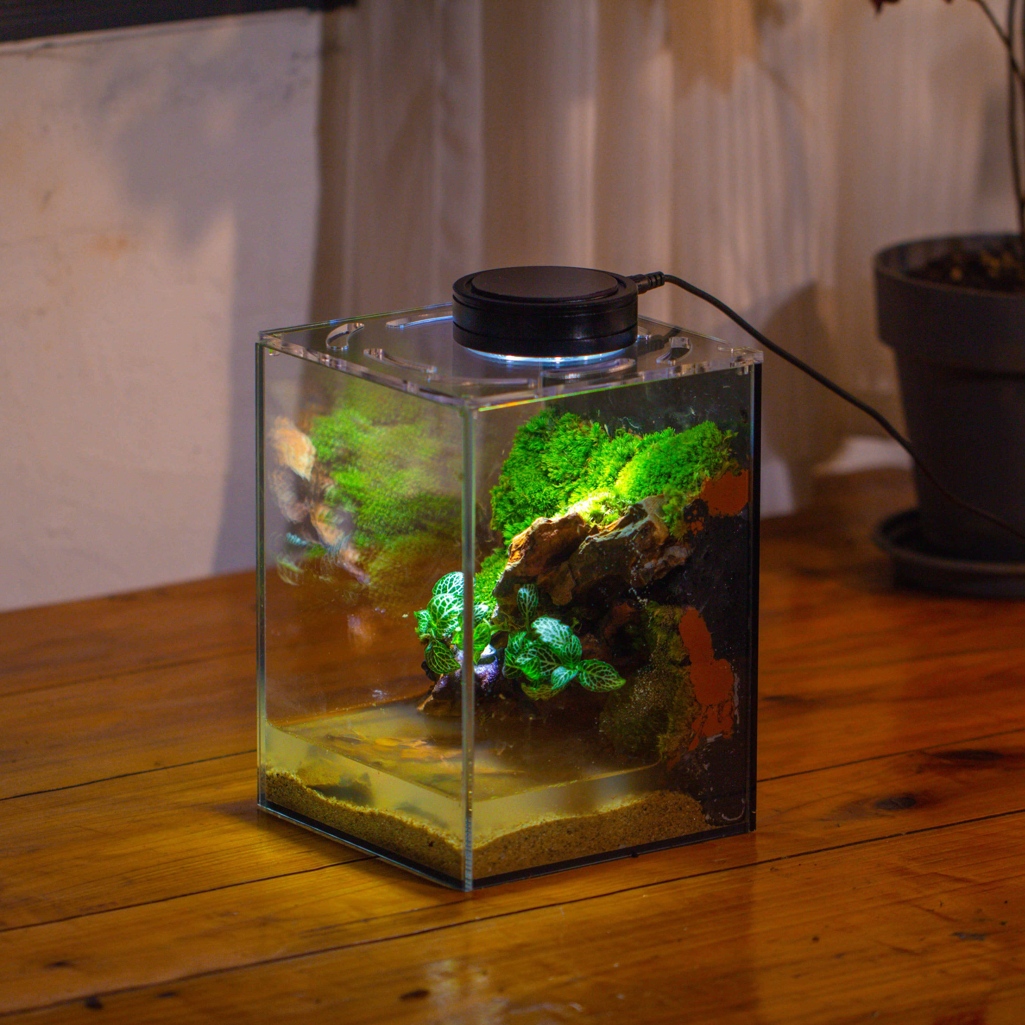 Watertight Glass Terrarium with LED Grow Light, Acrylic Lid for Moss Wall, vertical planting -15x15x20cm / 5.9x5.9x7.8 - NCYPgarden