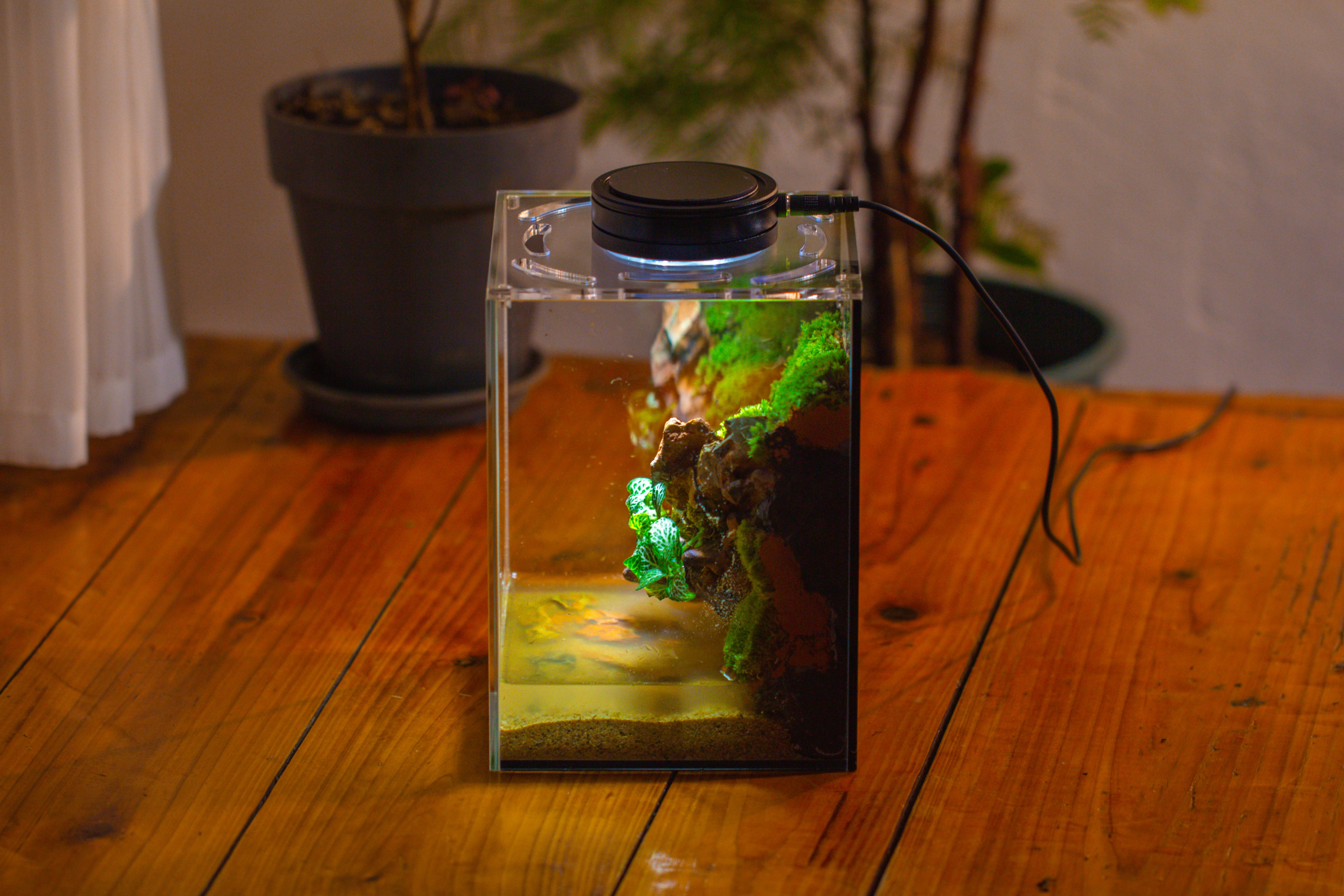 Watertight Glass Terrarium with LED Grow Light, Acrylic Lid for Moss Wall, vertical planting -15x15x20cm / 5.9x5.9x7.8 - NCYPgarden