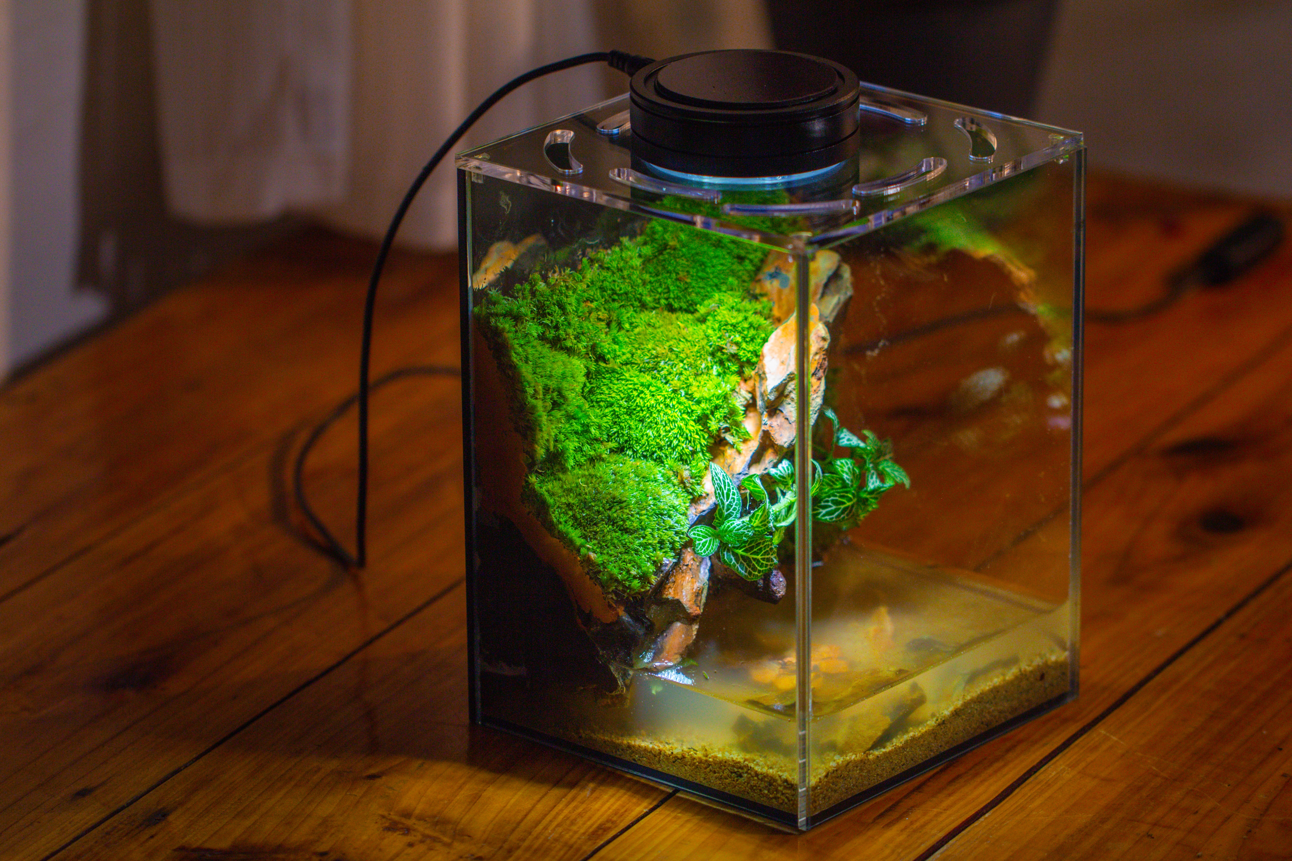 Watertight Glass Terrarium with LED Grow Light, Acrylic Lid for Moss Wall, vertical planting -15x15x20cm / 5.9x5.9x7.8 - NCYPgarden