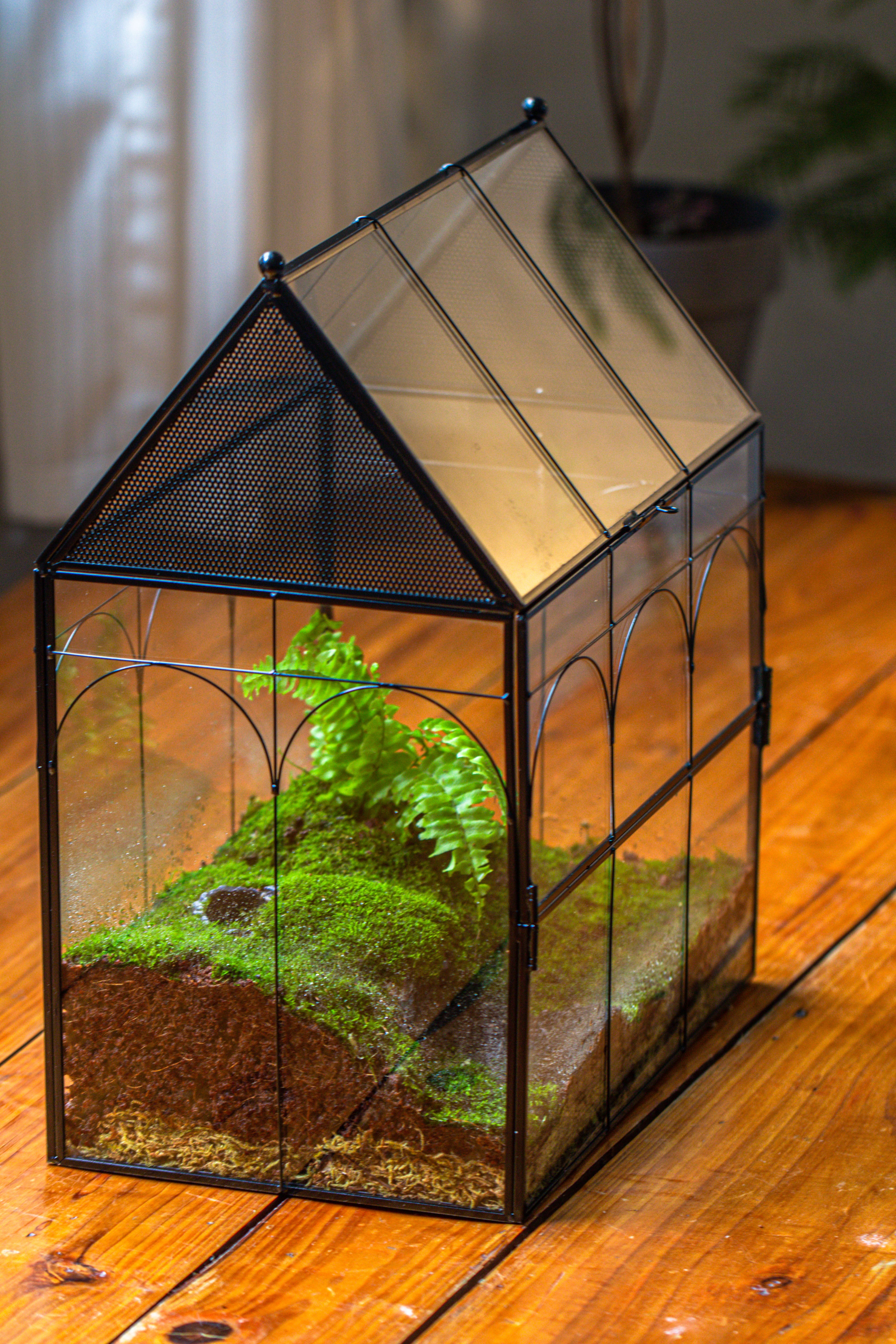 Large Vintage House Shape Insect Terrarium with Vent for Tarantulas, Mantis, Stick Insects -13" - NCYPgarden