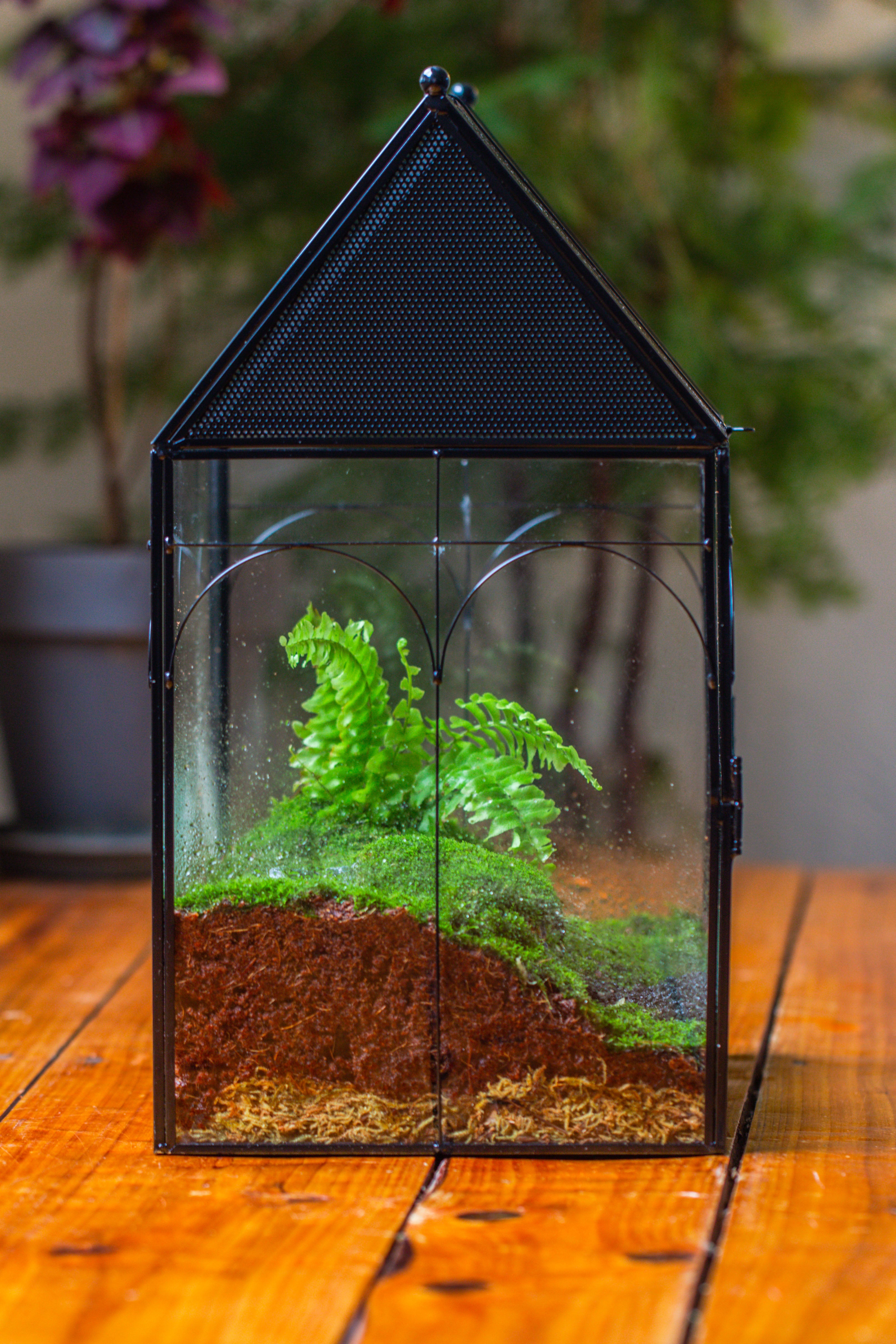 Large Vintage House Shape Insect Terrarium with Vent for Tarantulas, Mantis, Stick Insects -13" - NCYPgarden