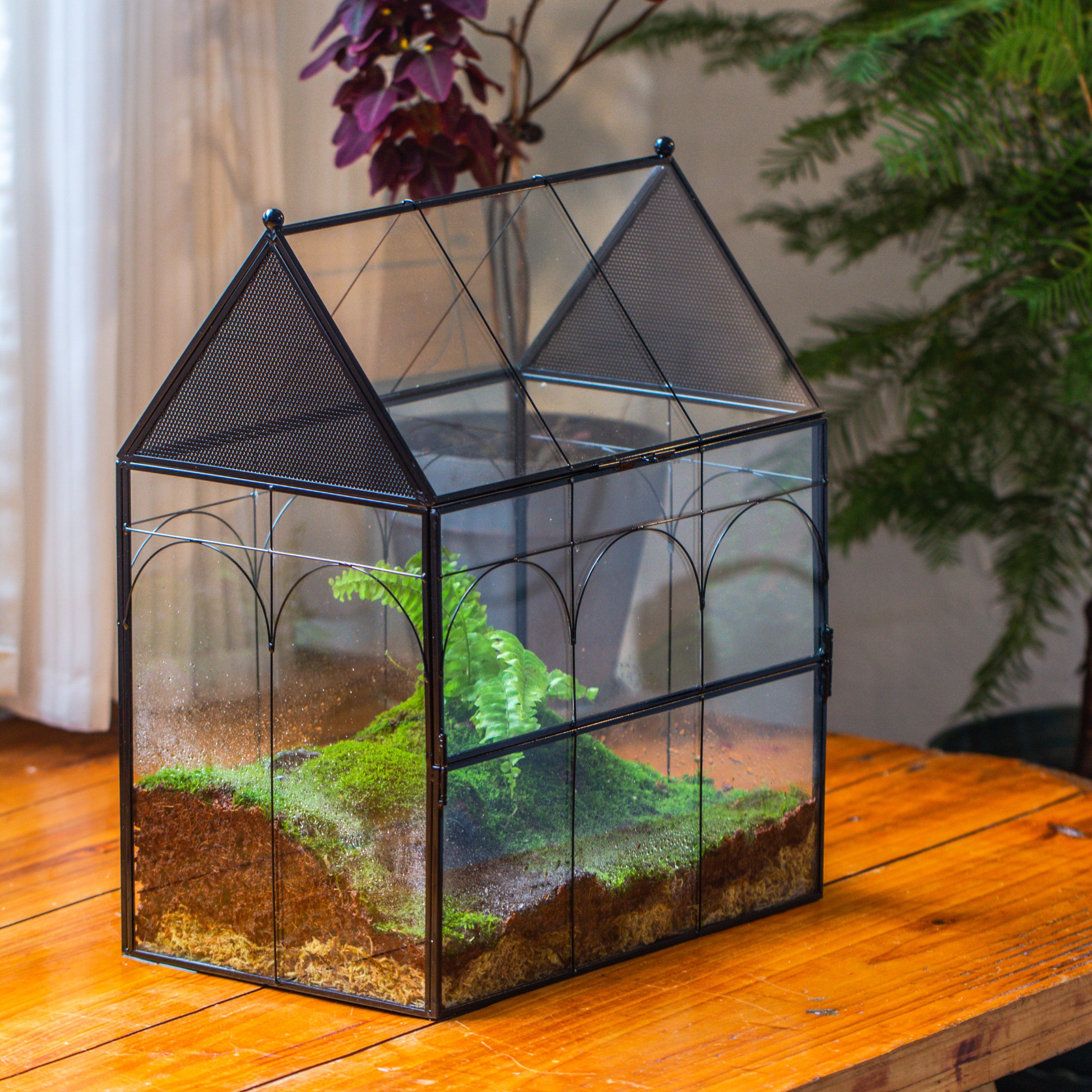 Large Vintage House Shape Insect Terrarium with Vent for Tarantulas, Mantis, Stick Insects -13" - NCYPgarden