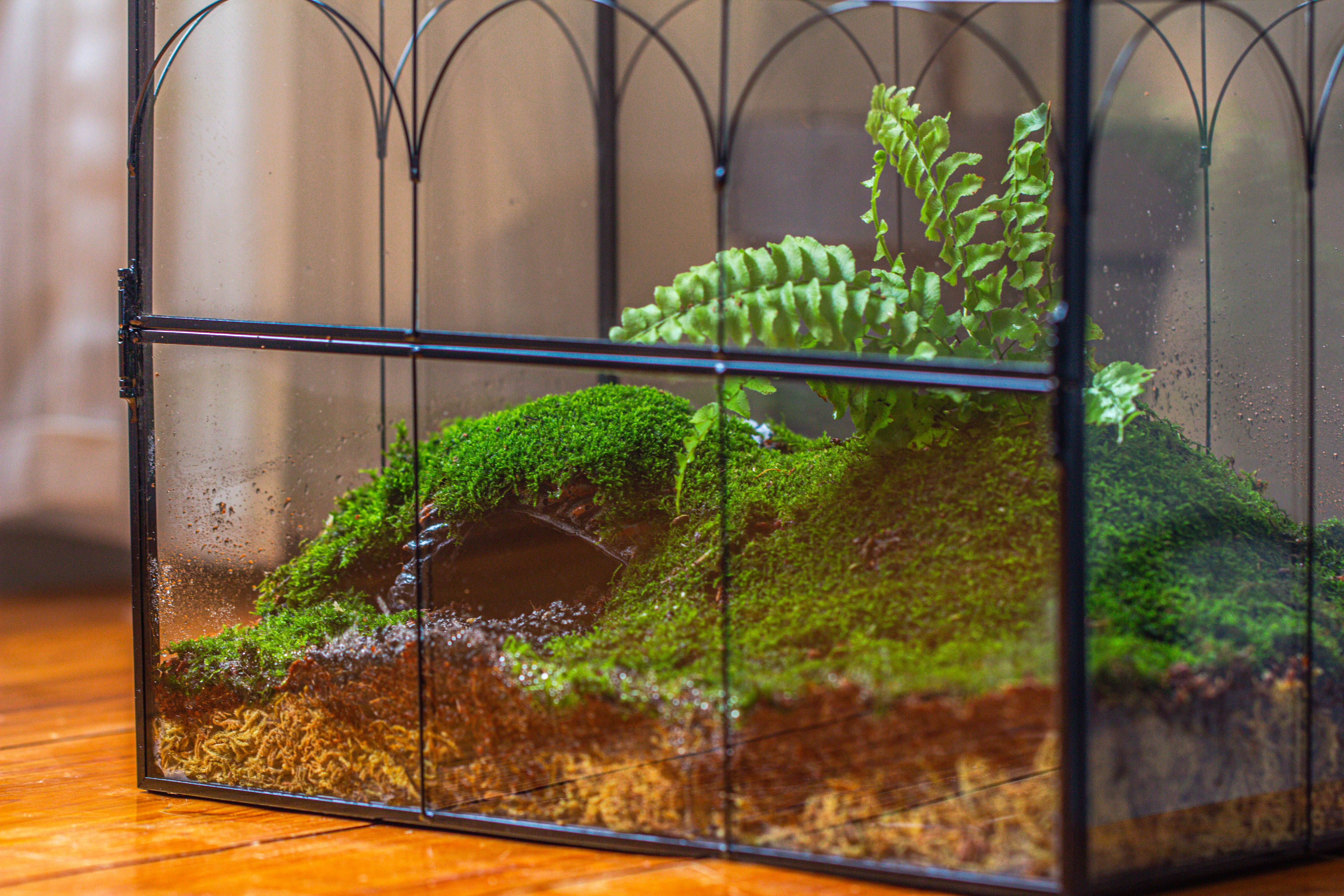 Large Vintage House Shape Insect Terrarium with Vent for Tarantulas, Mantis, Stick Insects -13" - NCYPgarden