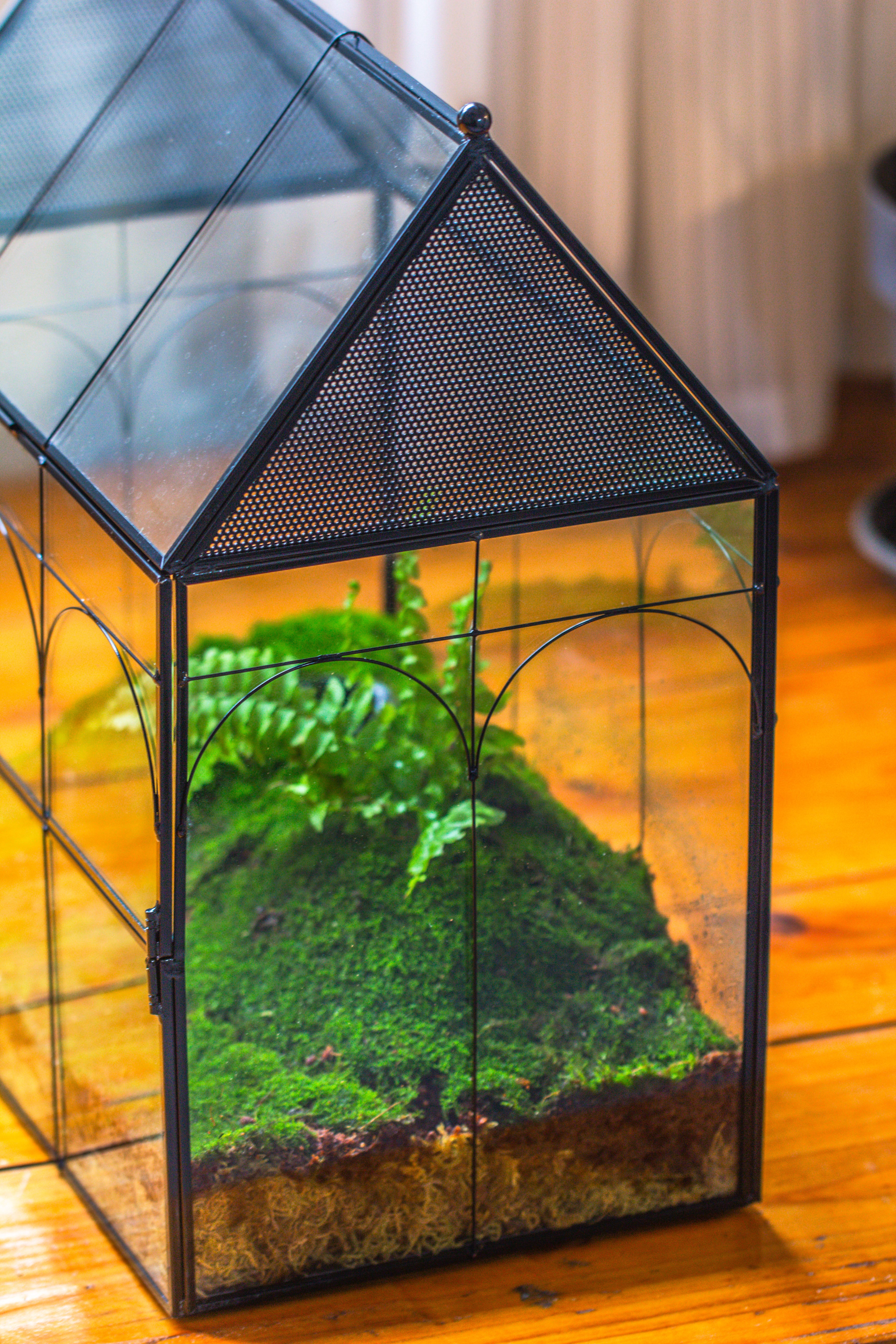 Large Vintage House Shape Insect Terrarium with Vent for Tarantulas, Mantis, Stick Insects -13" - NCYPgarden