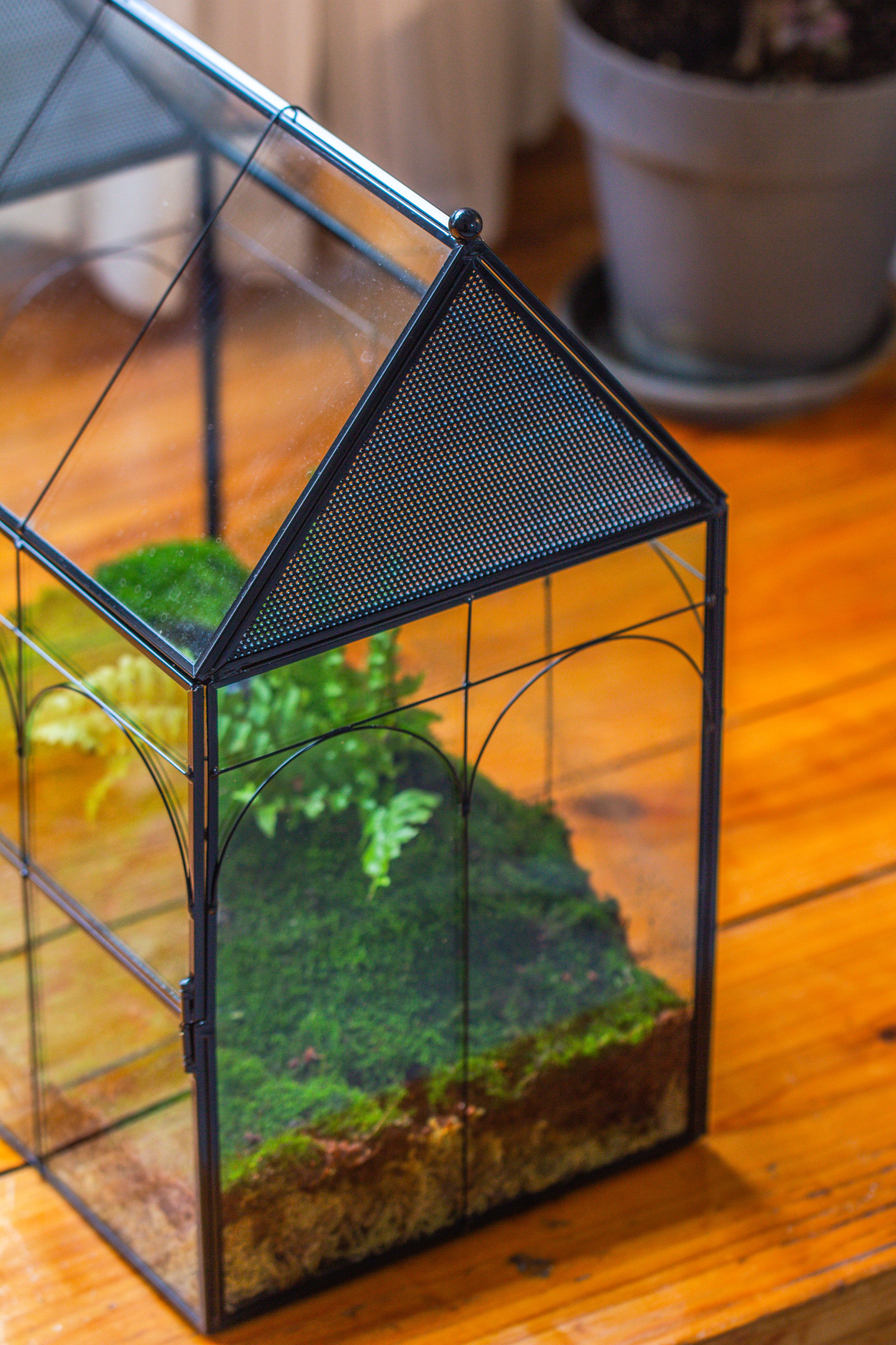 Large Vintage House Shape Insect Terrarium with Vent for Tarantulas, Mantis, Stick Insects -13" - NCYPgarden