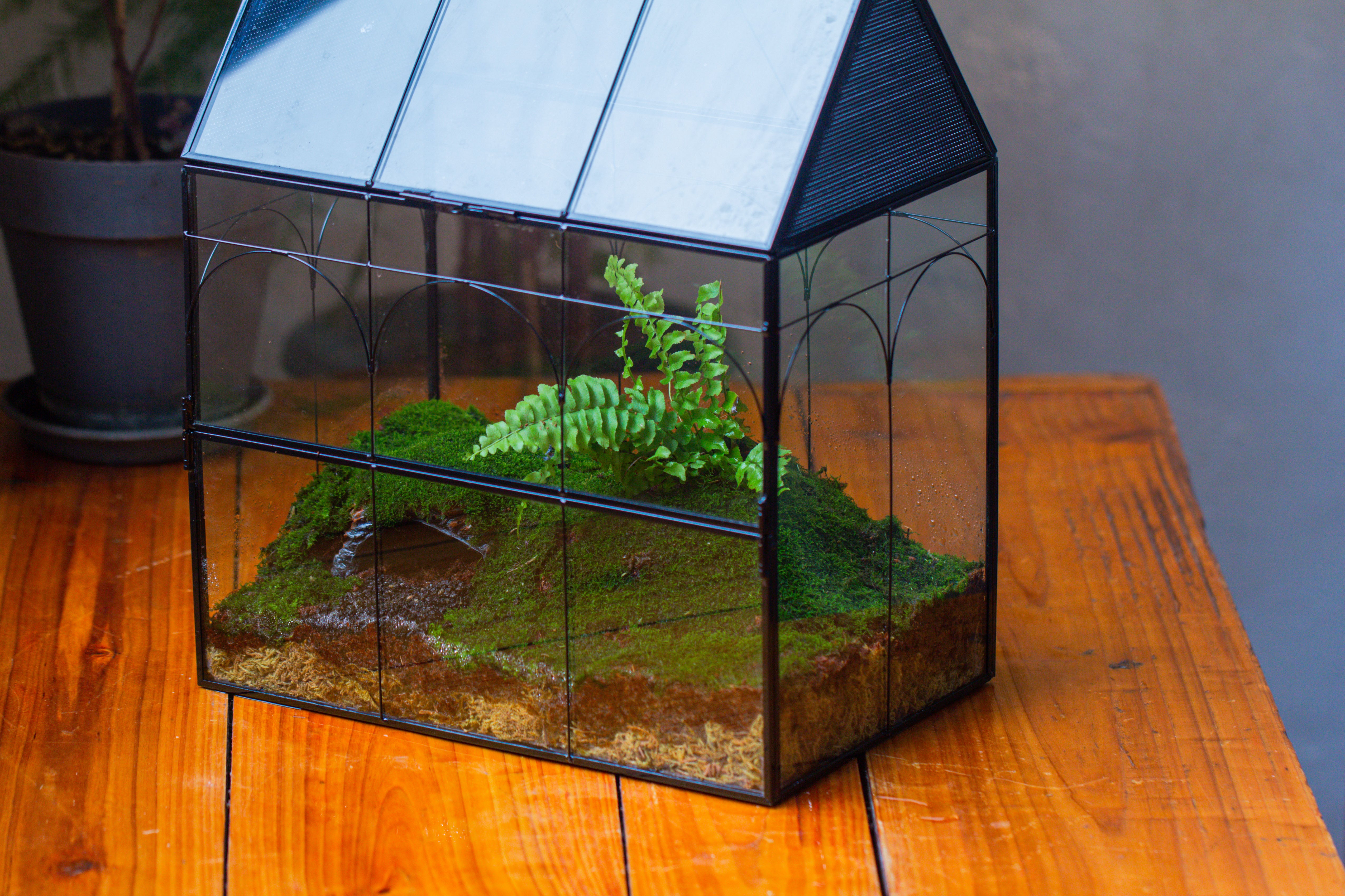 Large Vintage House Shape Insect Terrarium with Vent for Tarantulas, Mantis, Stick Insects -13" - NCYPgarden