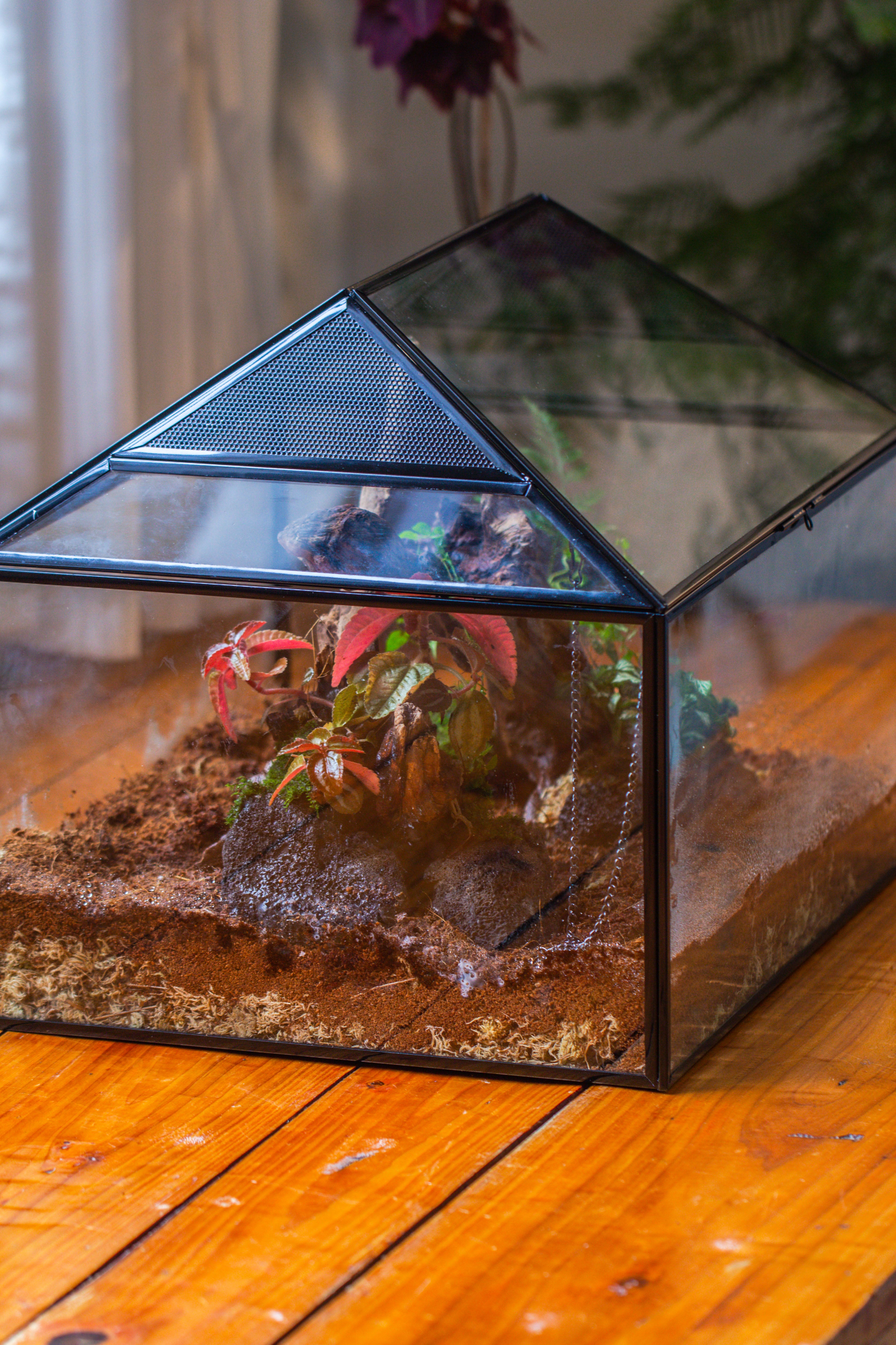 NCYP Handmade Large House Shape Geometric Glass Terrariumn 14x12x12" for Tarantulas - NCYPgarden