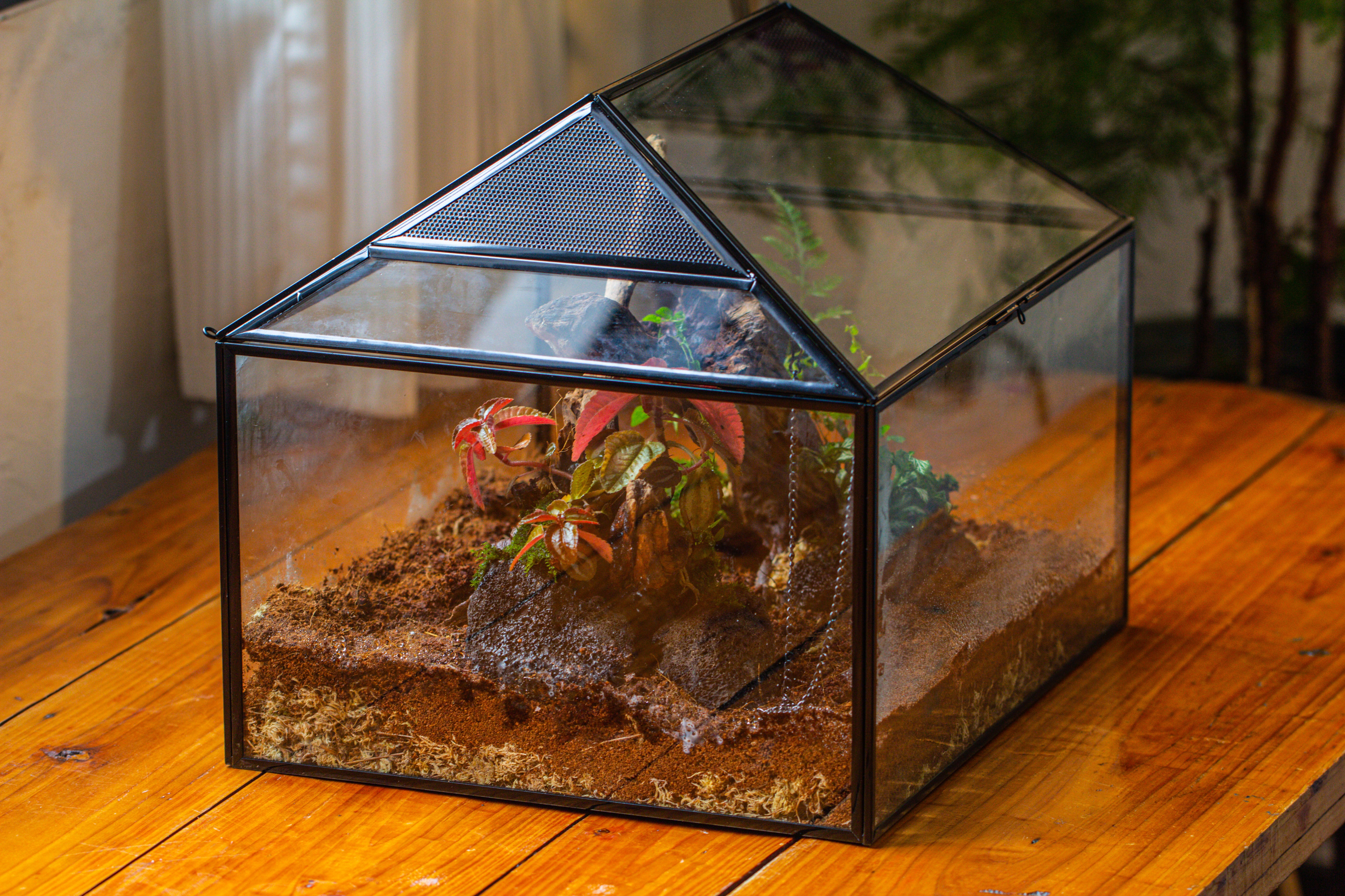 NCYP Handmade Large House Shape Geometric Glass Terrariumn 14x12x12" for Tarantulas - NCYPgarden