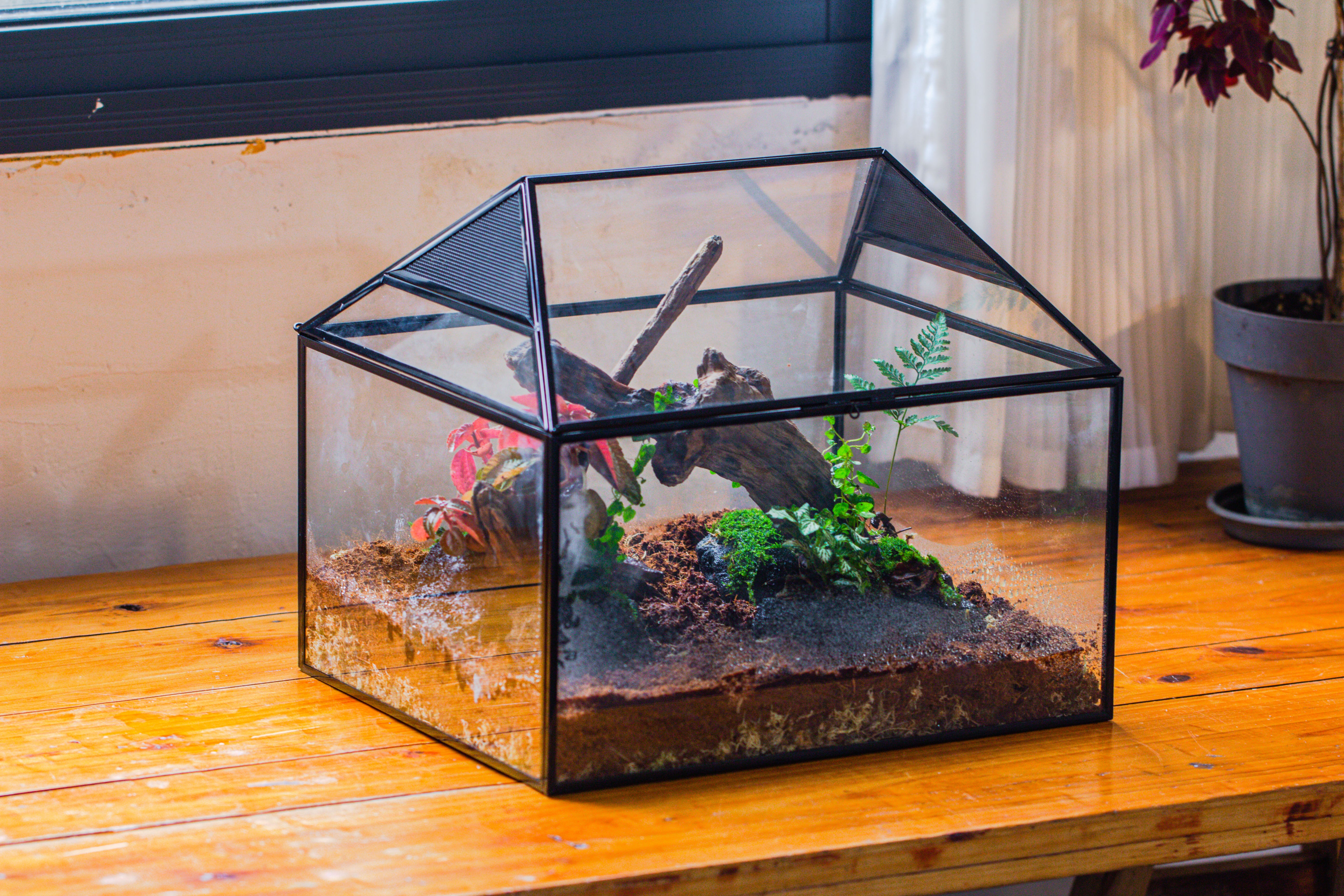 NCYP Handmade Large House Shape Geometric Glass Terrariumn 14x12x12" for Tarantulas - NCYPgarden