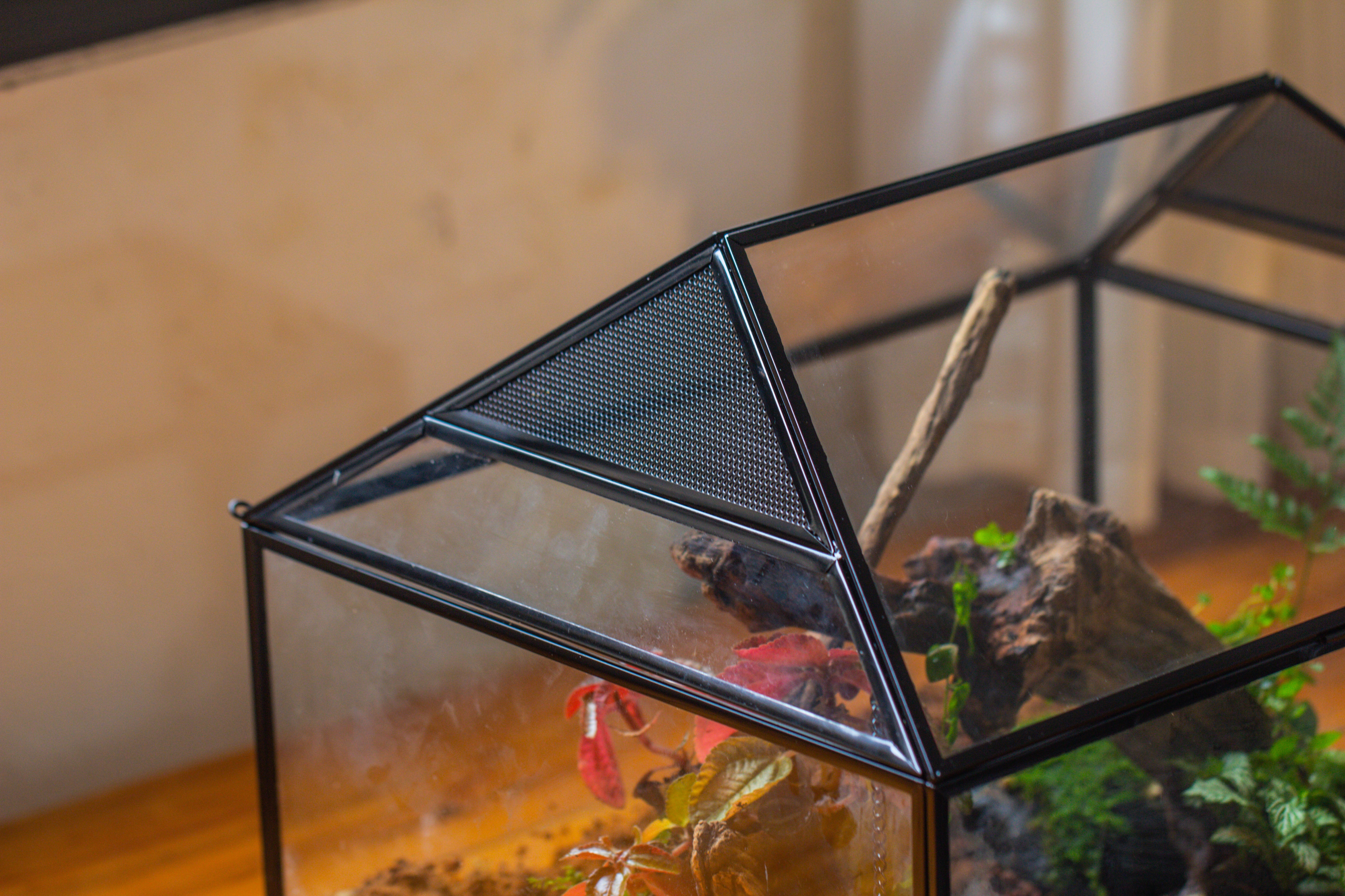 NCYP Handmade Large House Shape Geometric Glass Terrariumn 14x12x12" for Tarantulas - NCYPgarden