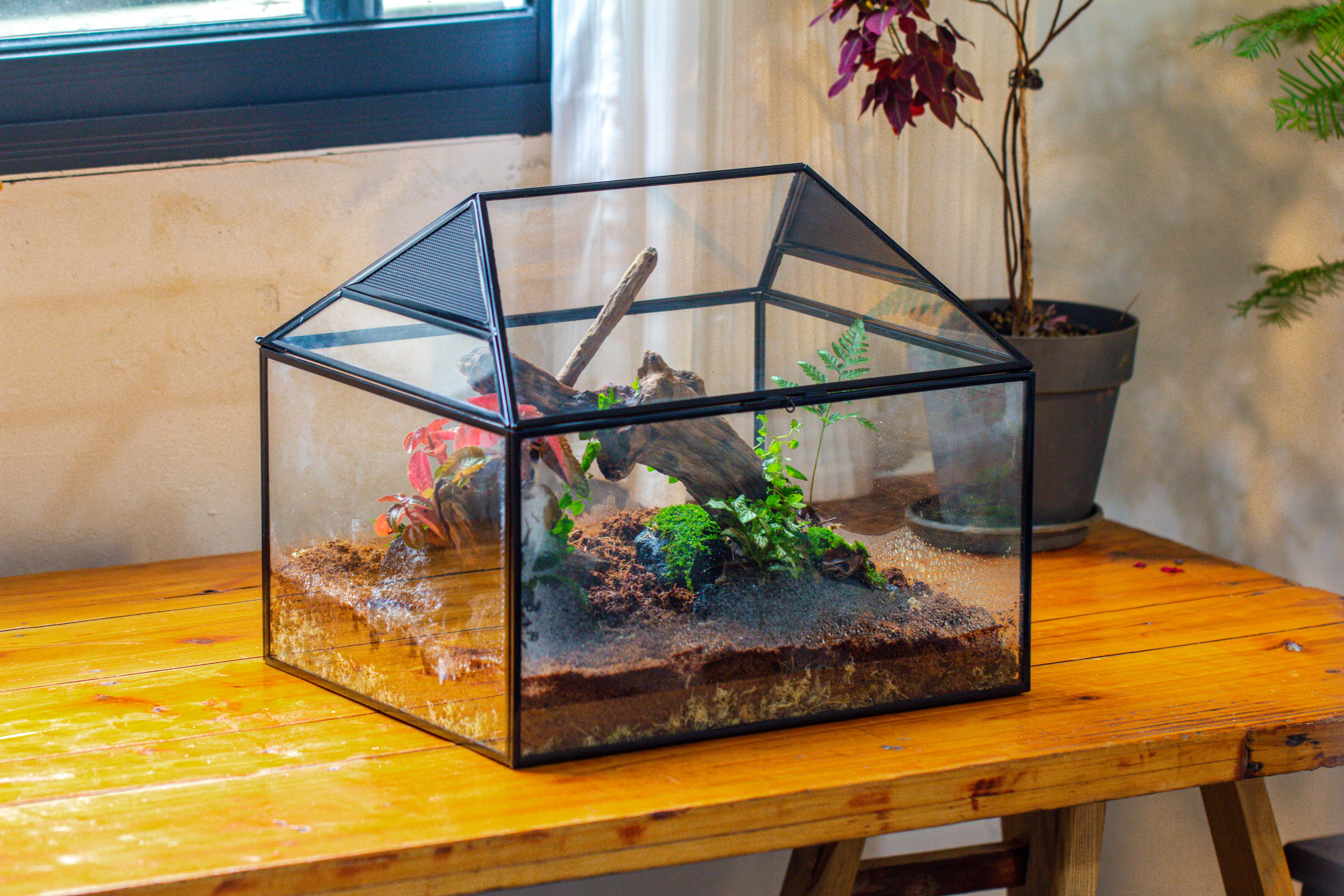 NCYP Handmade Large House Shape Geometric Glass Terrariumn 14x12x12" for Tarantulas - NCYPgarden